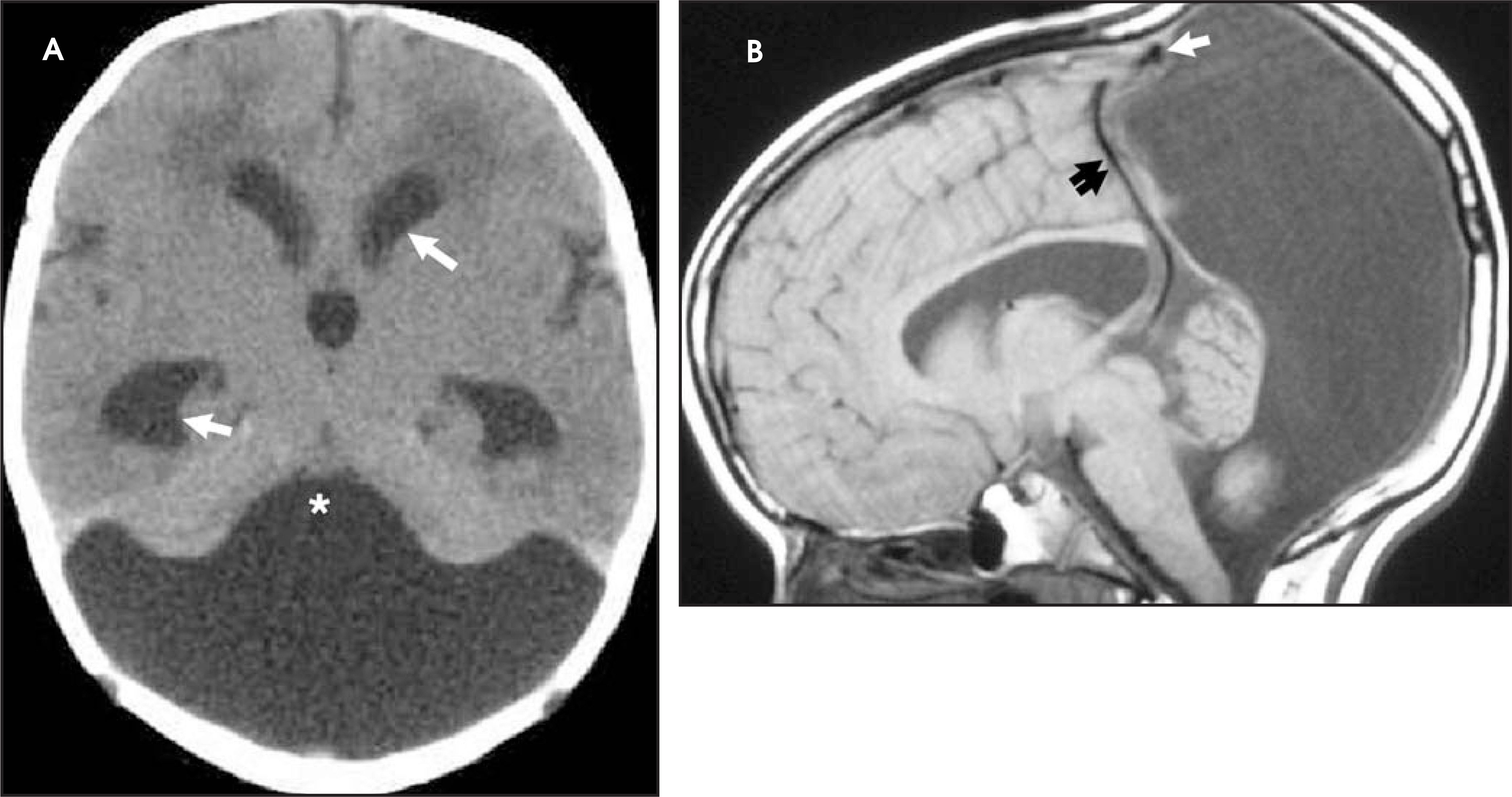 FIGURE 16.
