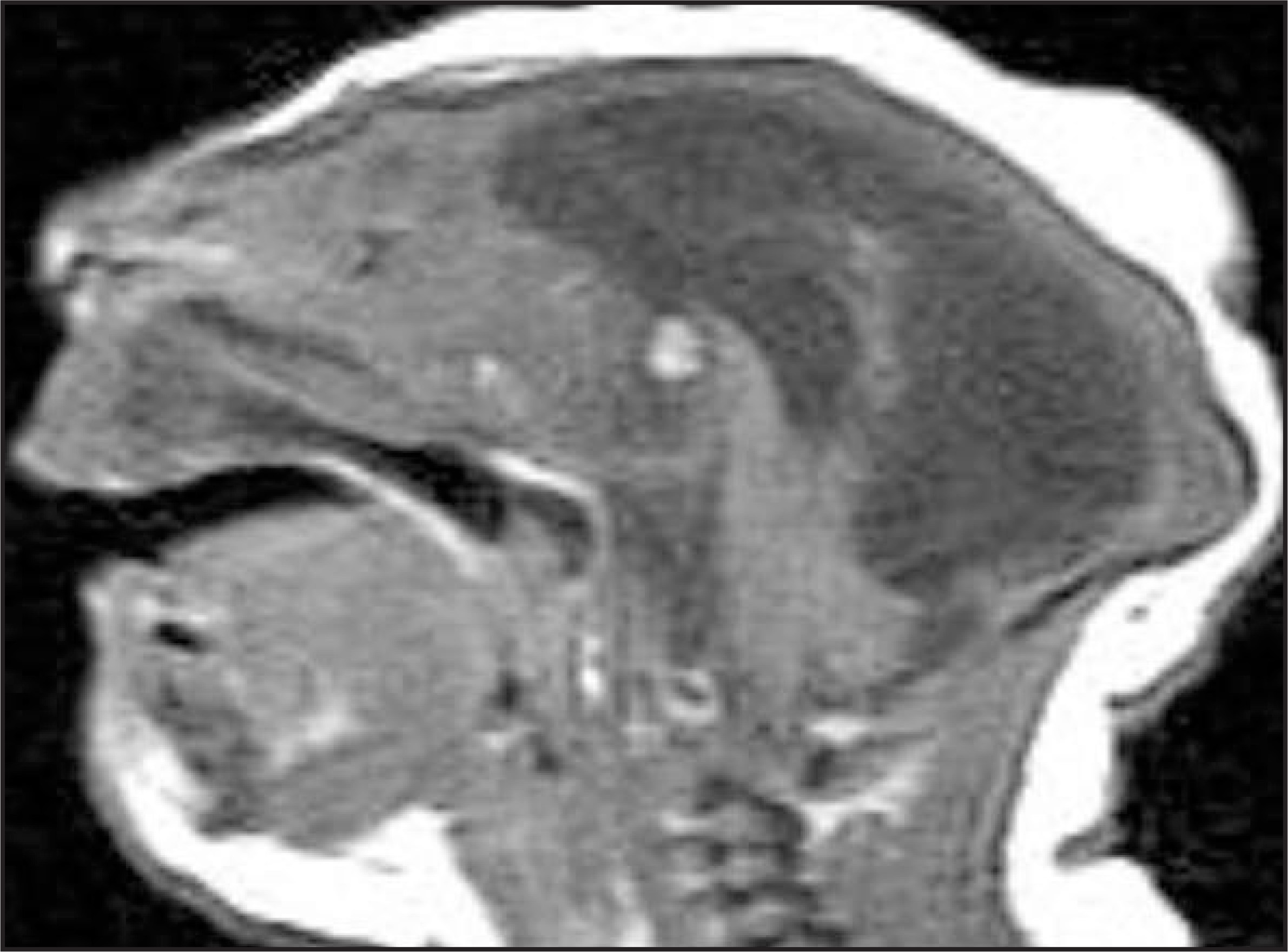 FIGURE19.