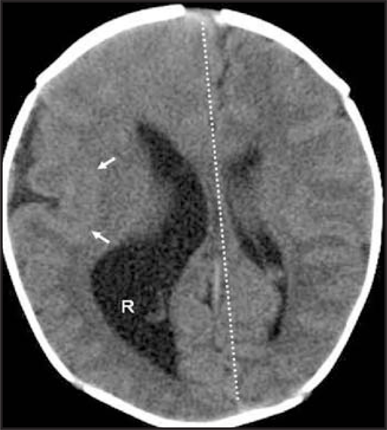 FIGURE 24.