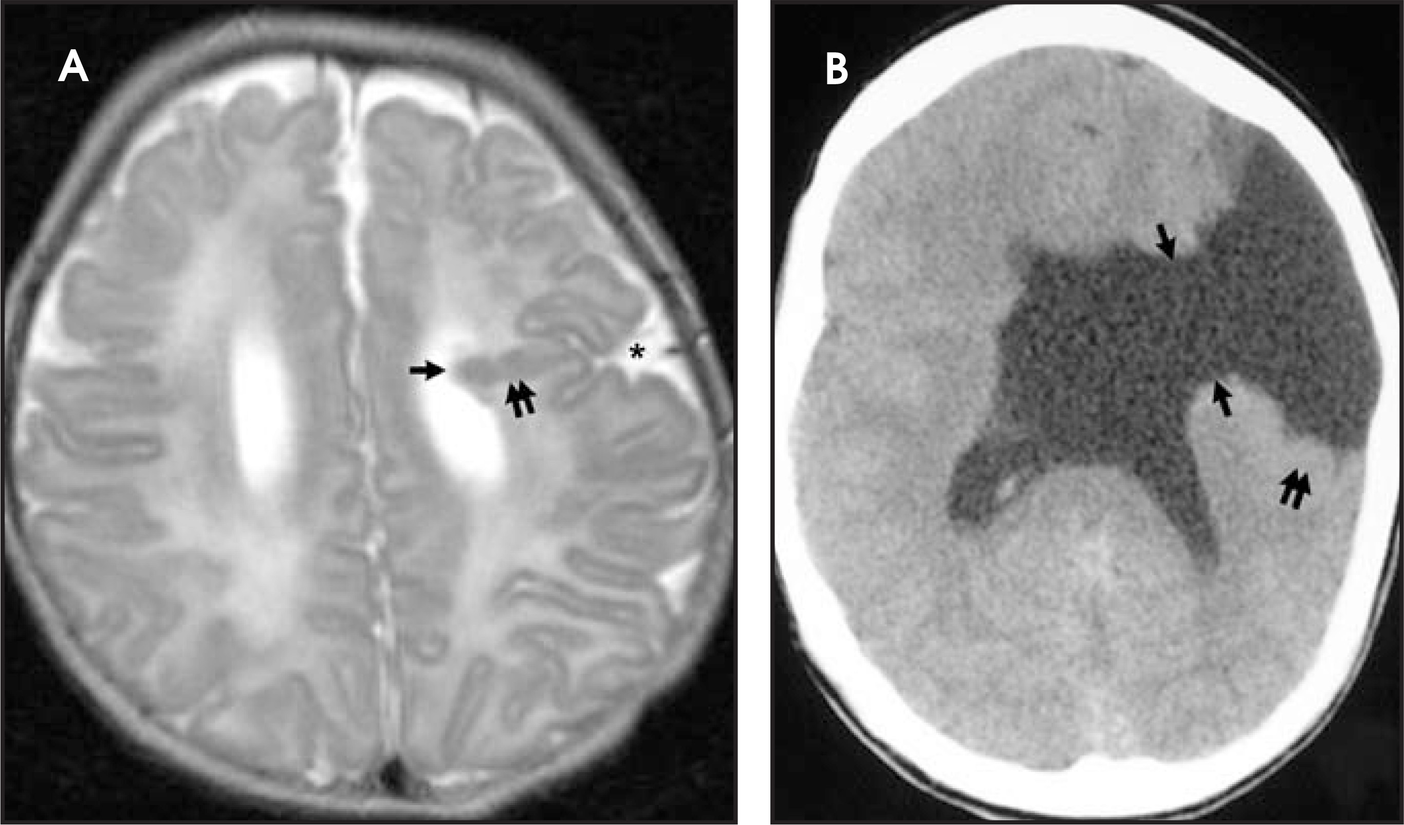 FIGURE 25.
