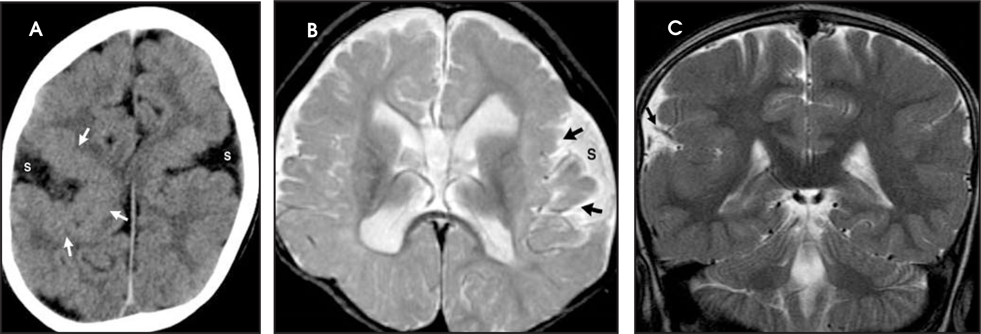 FIGURE 26.