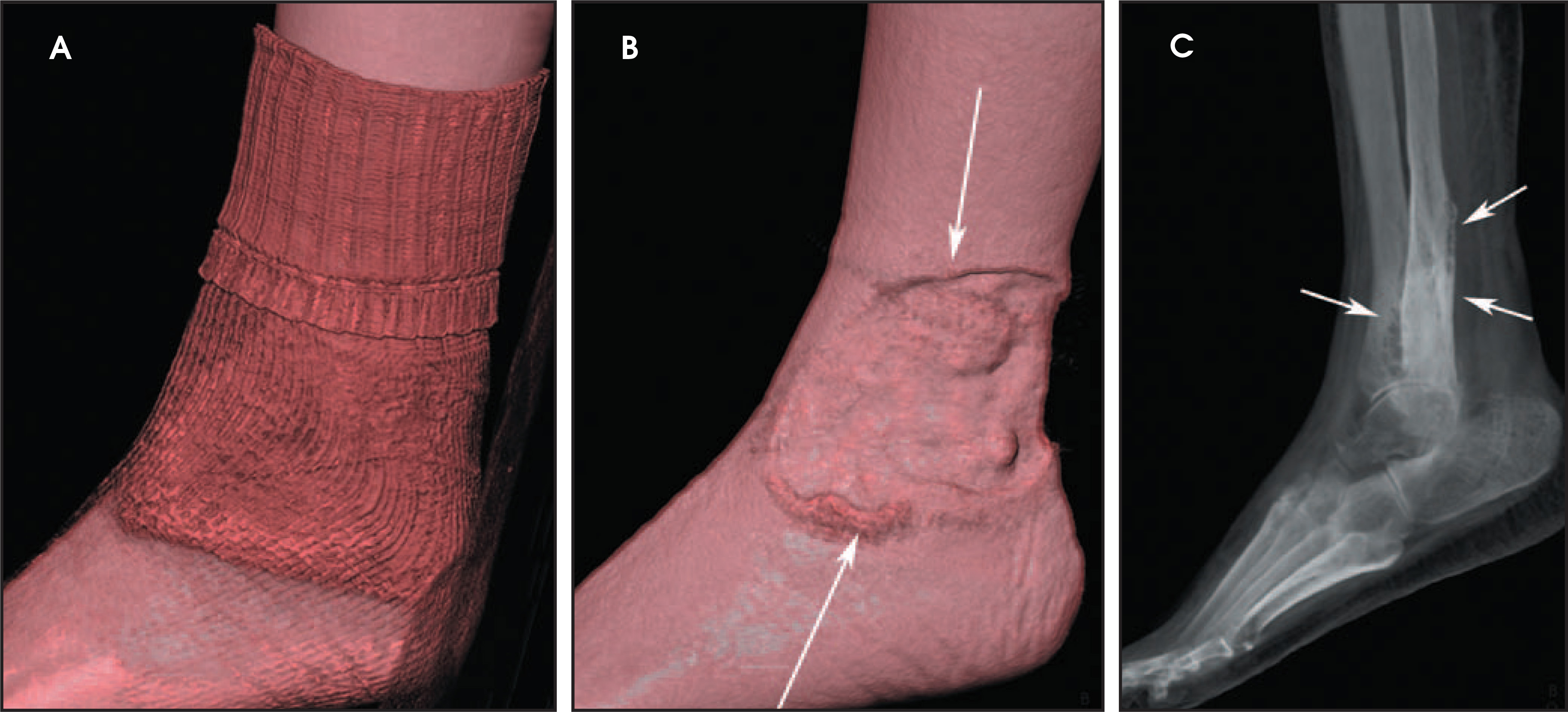 FIGURE 3.