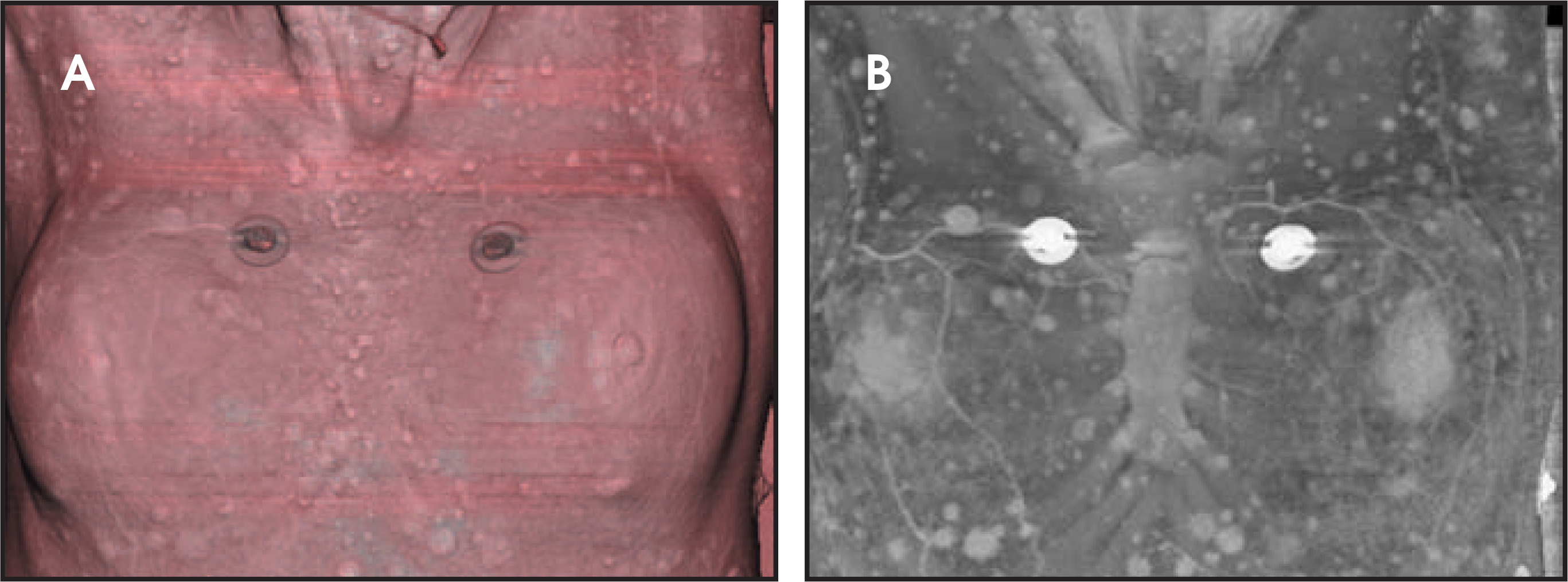 FIGURE 9.