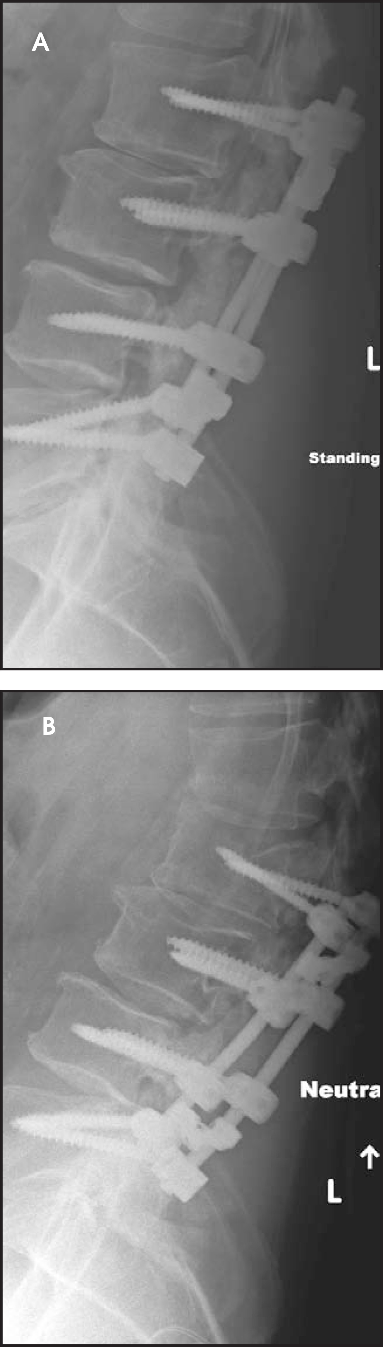 FIGURE 10.