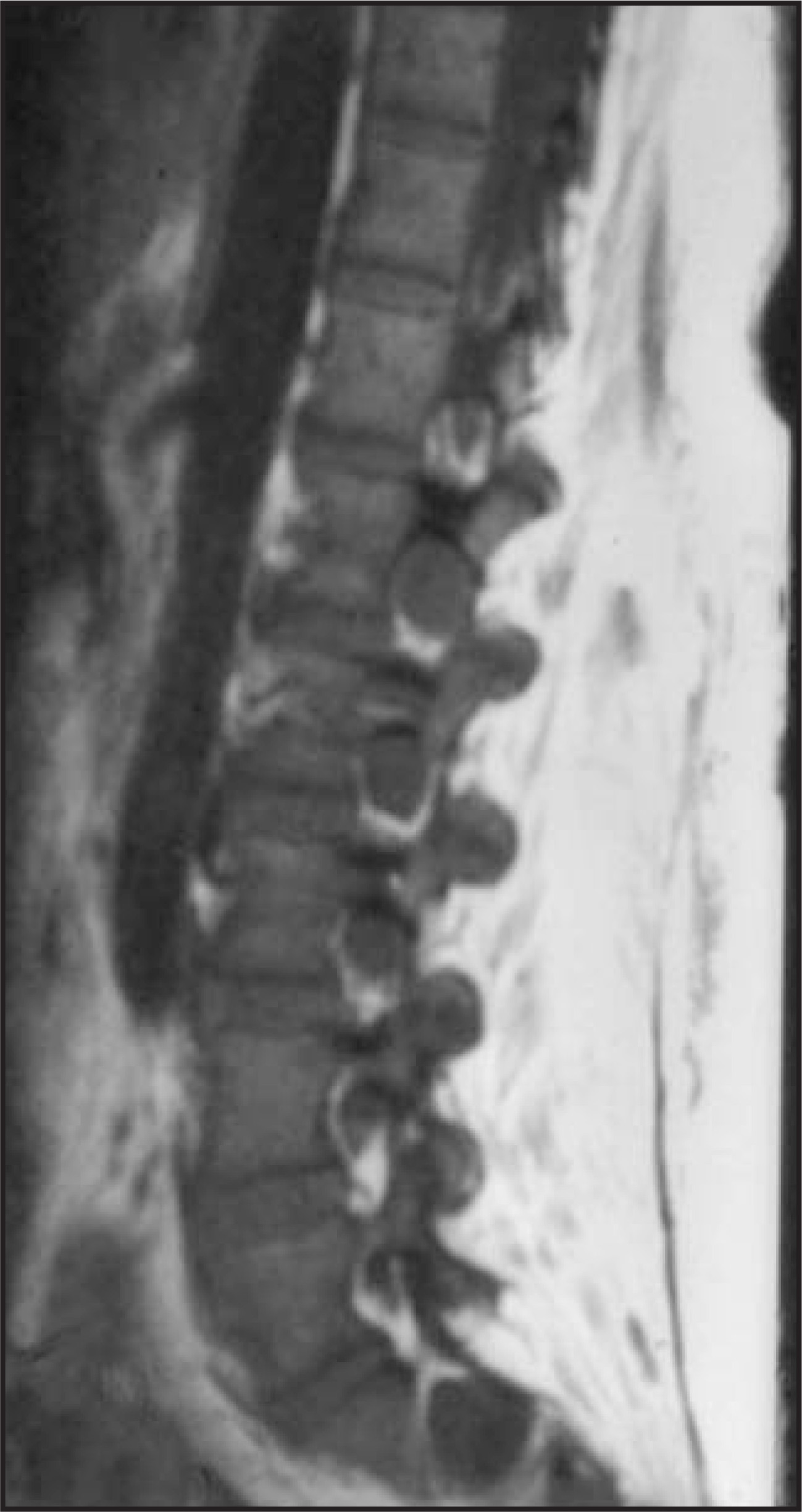 FIGURE 10.