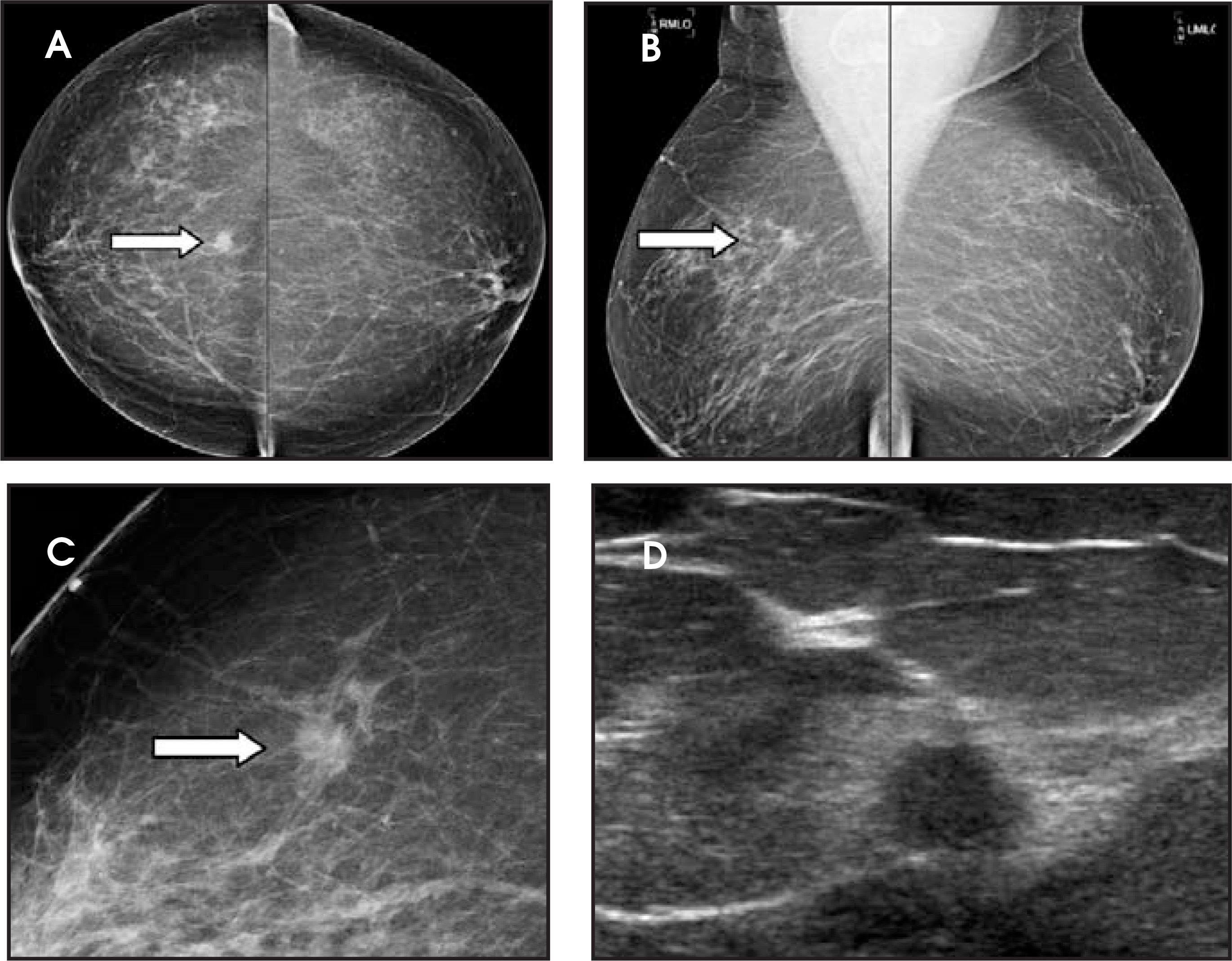 FIGURE 1.