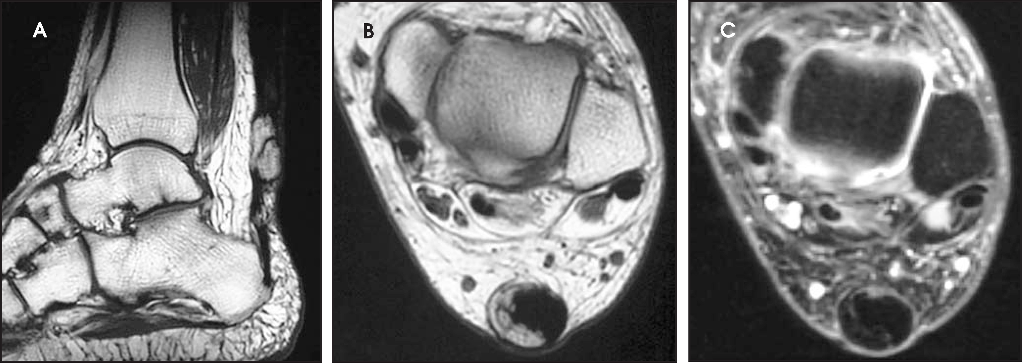 FIGURE 7.