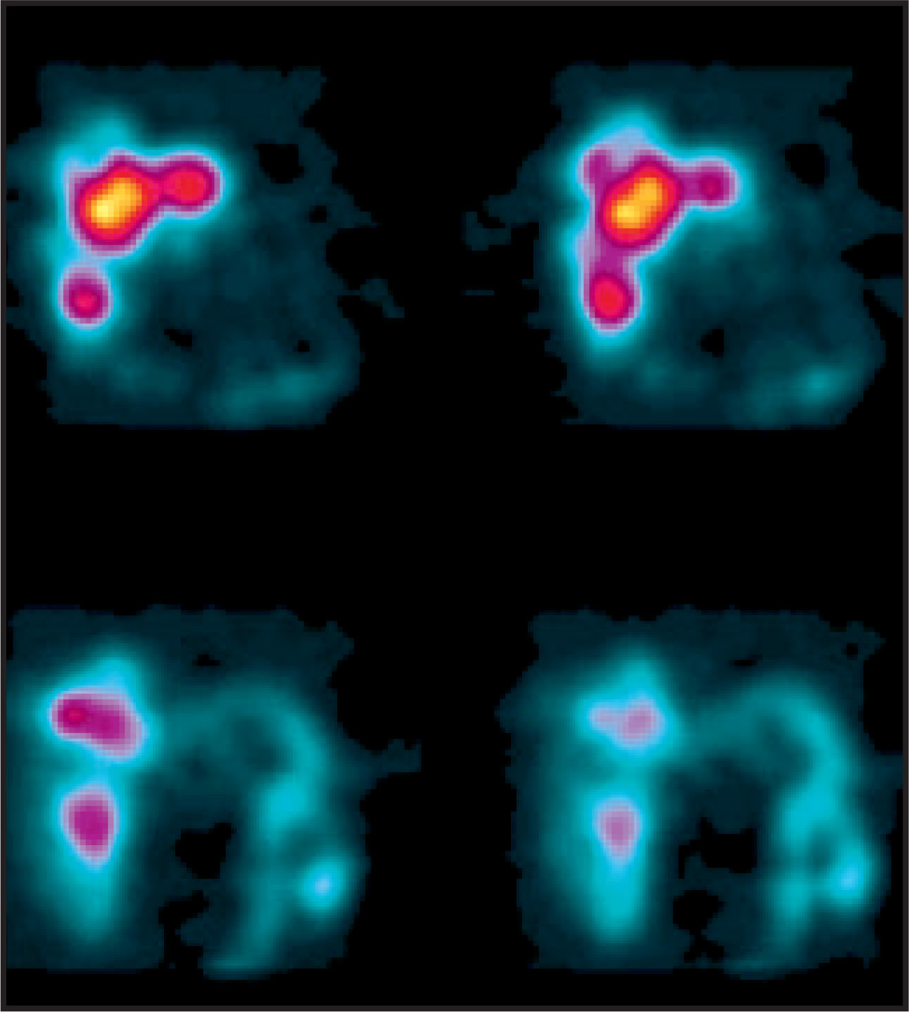 FIGURE 2.