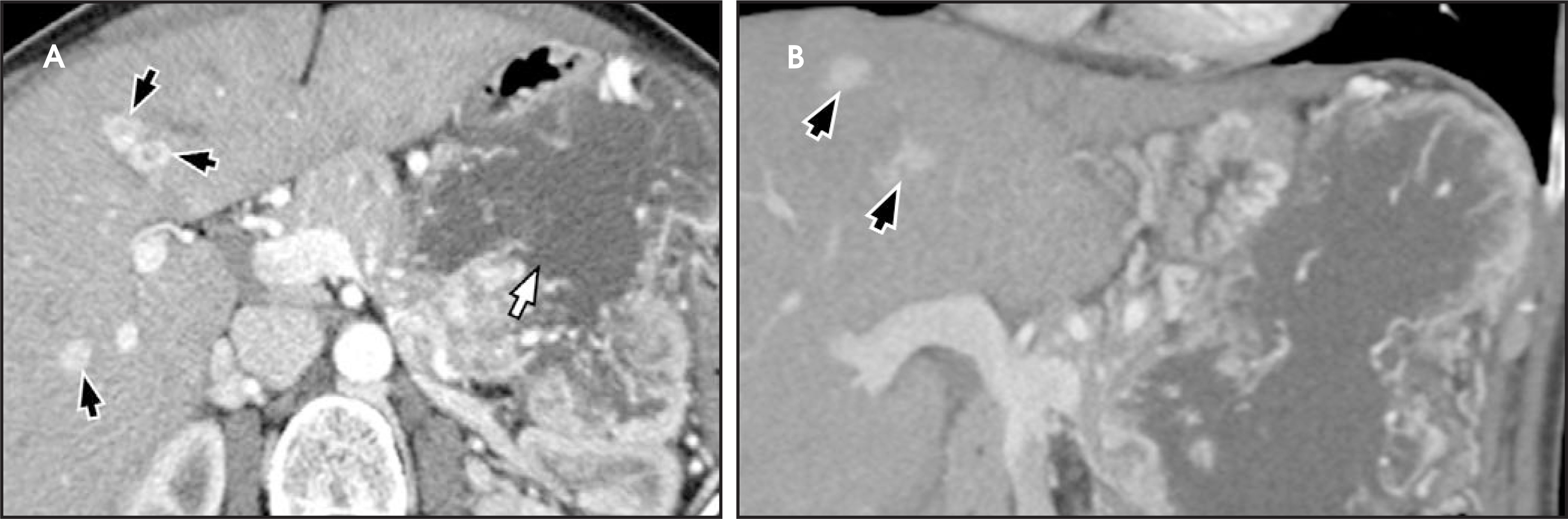 FIGURE 19.