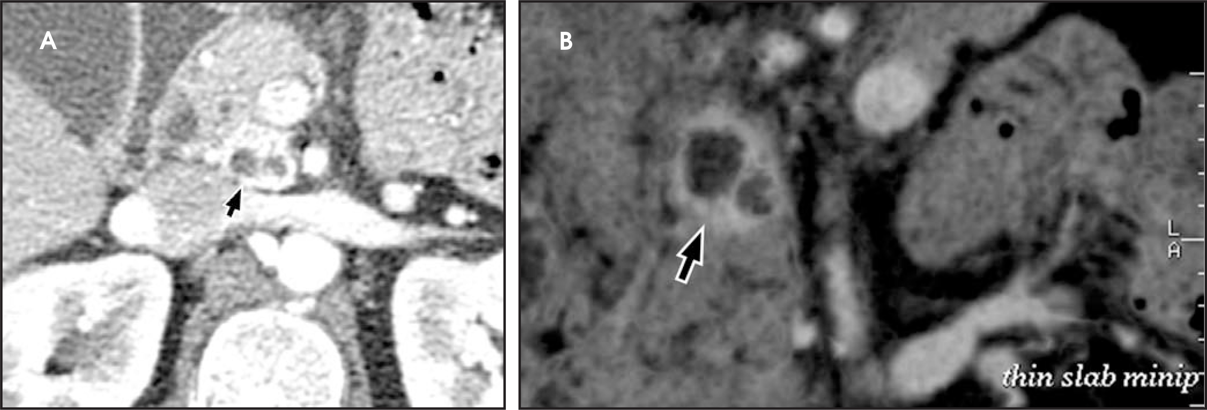 FIGURE 20.
