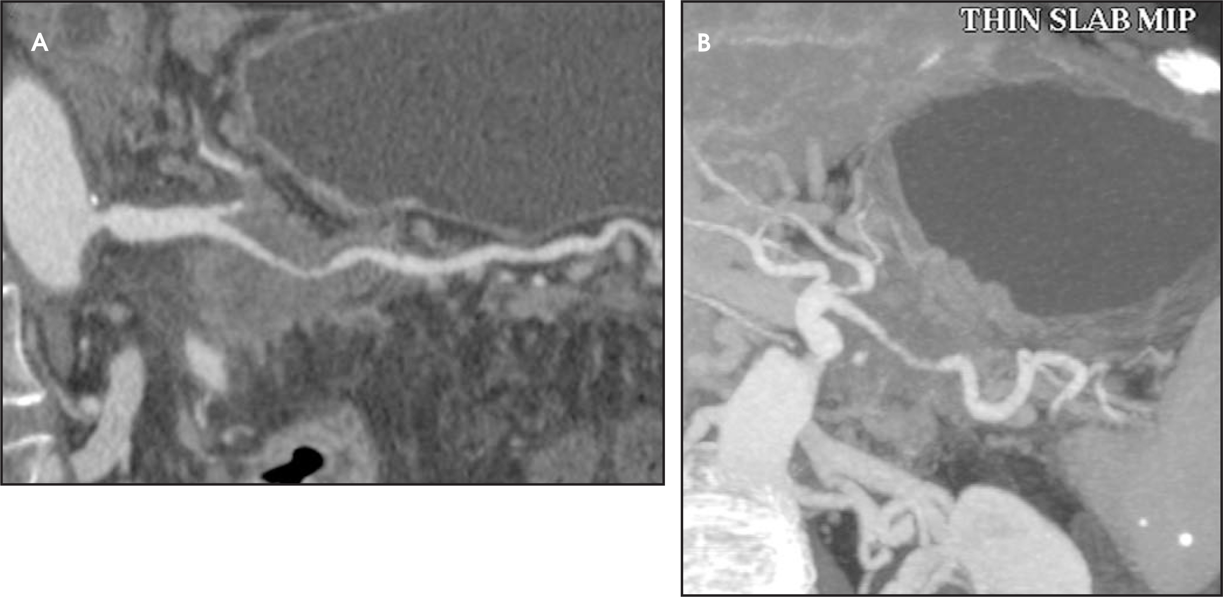 FIGURE 24.