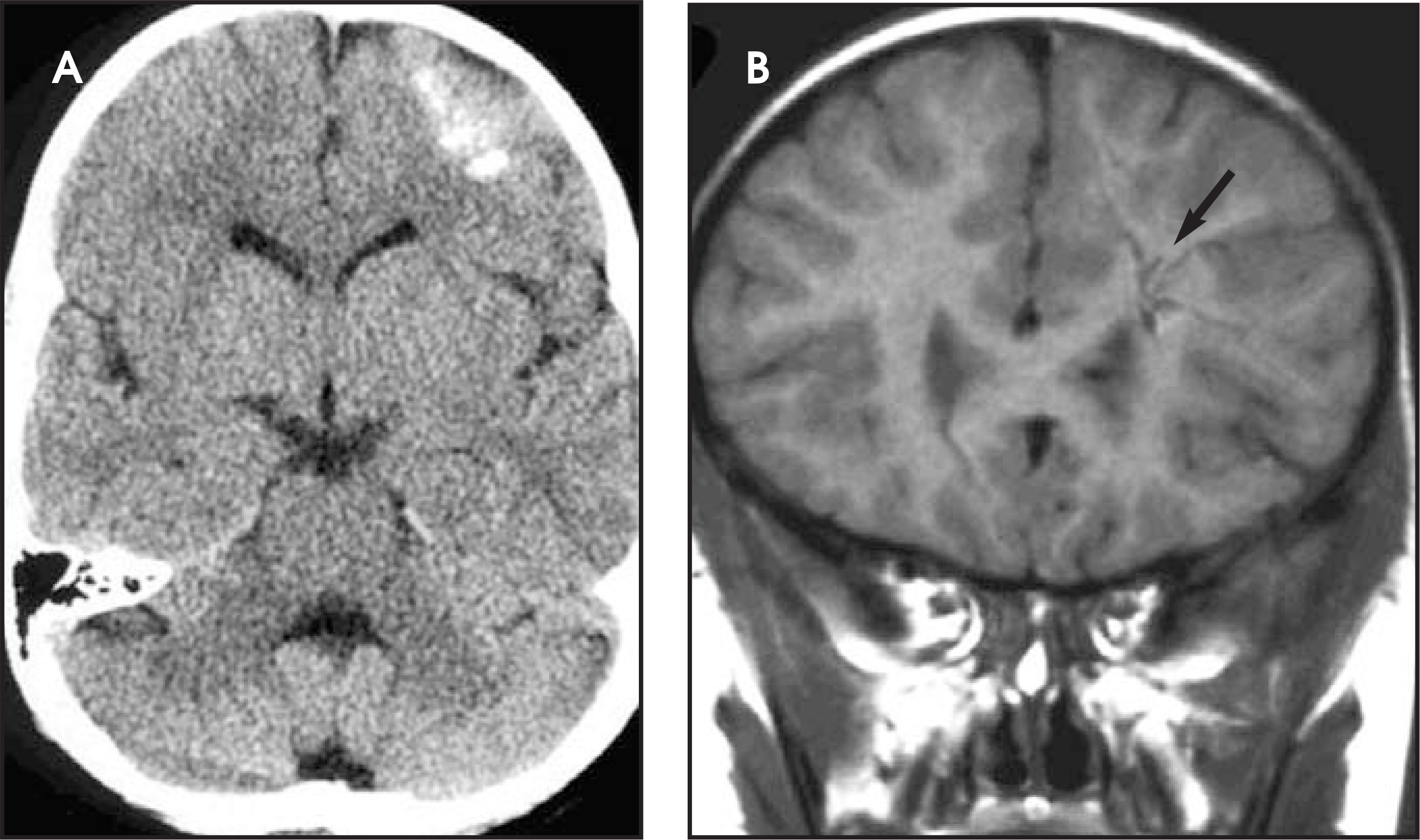 FIGURE 12: