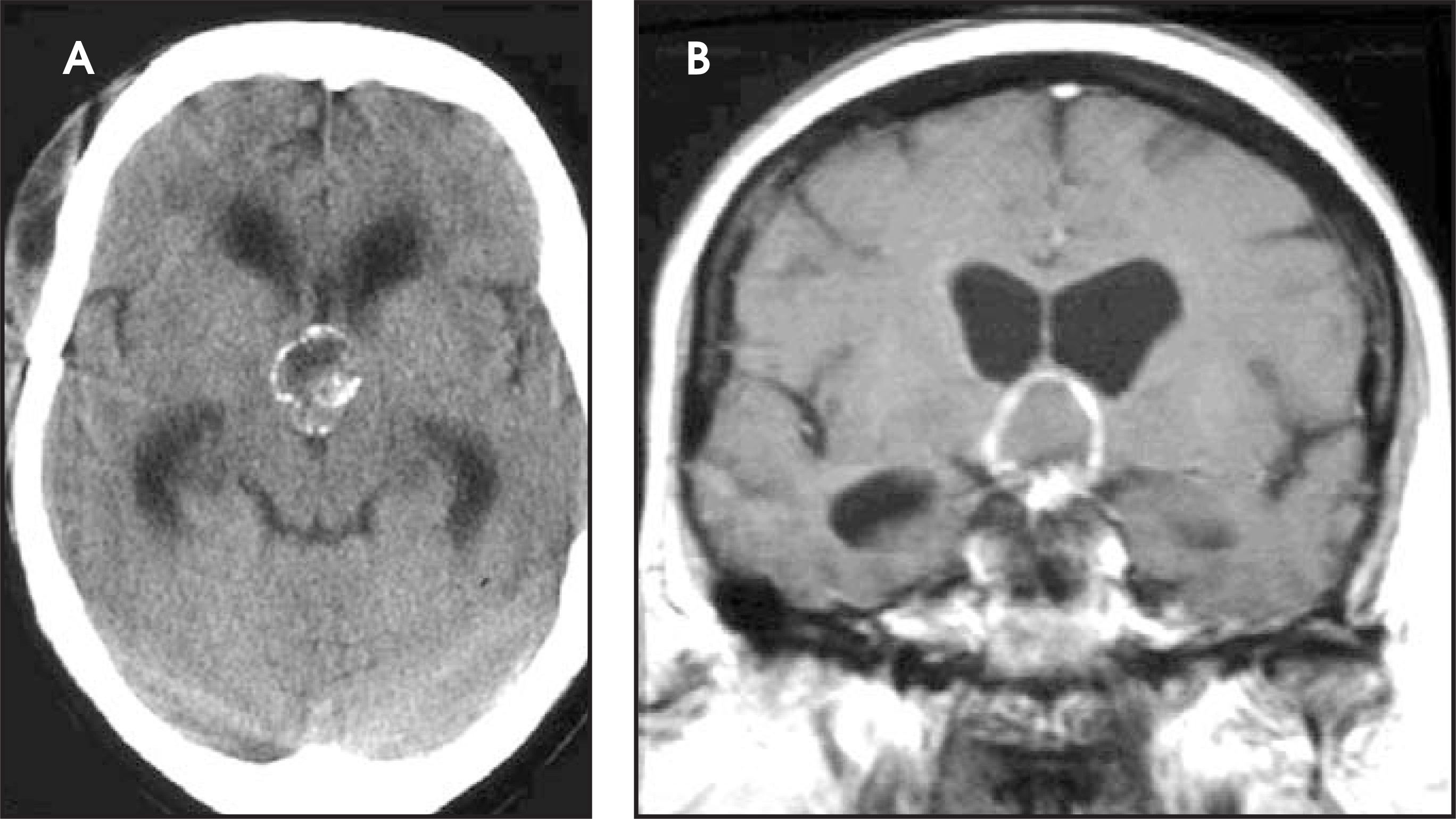 FIGURE 26.