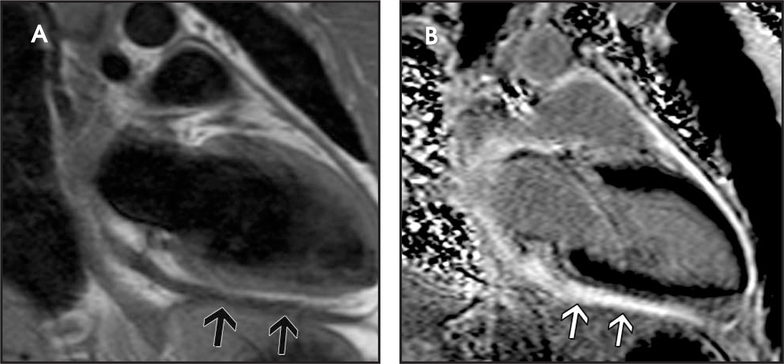 FIGURE 10.