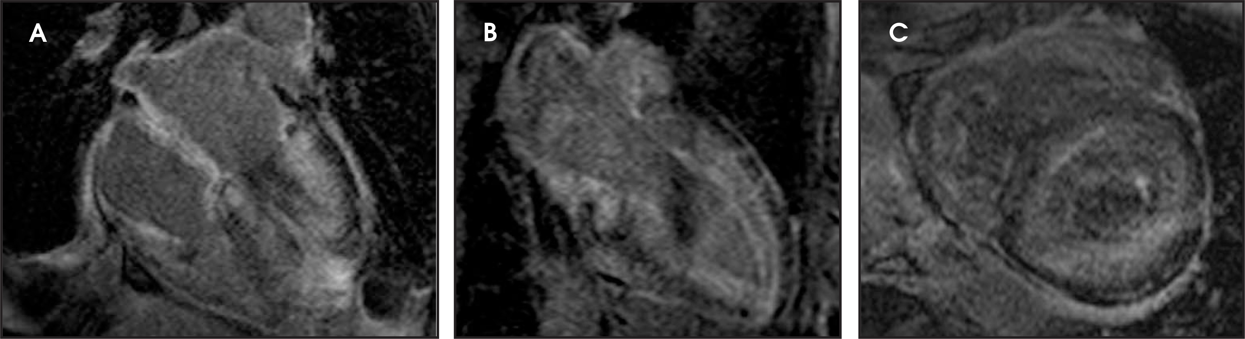 FIGURE 12.