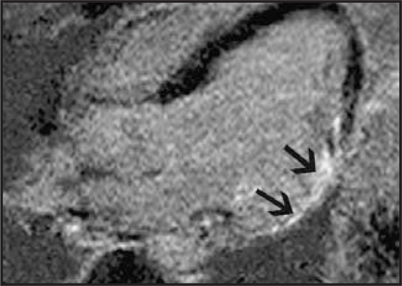 FIGURE 19.