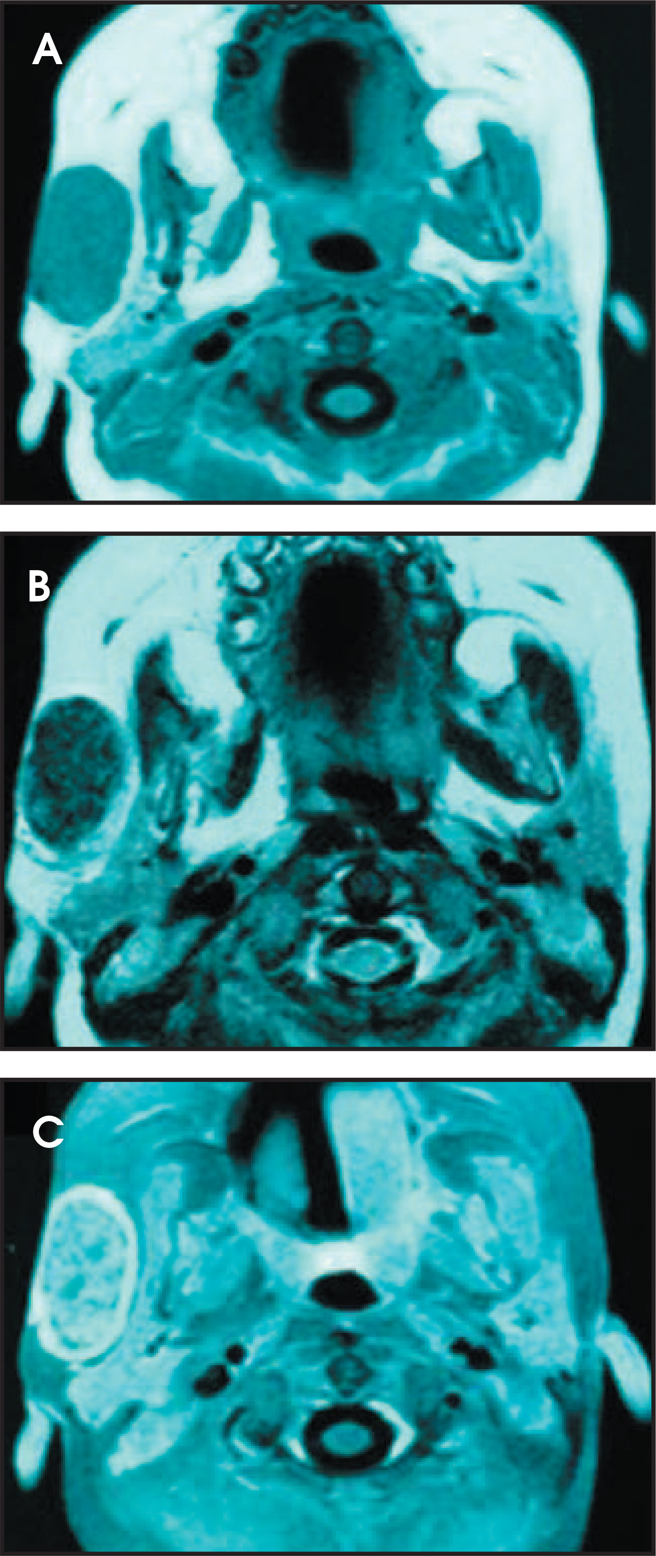 FIGURE 1.