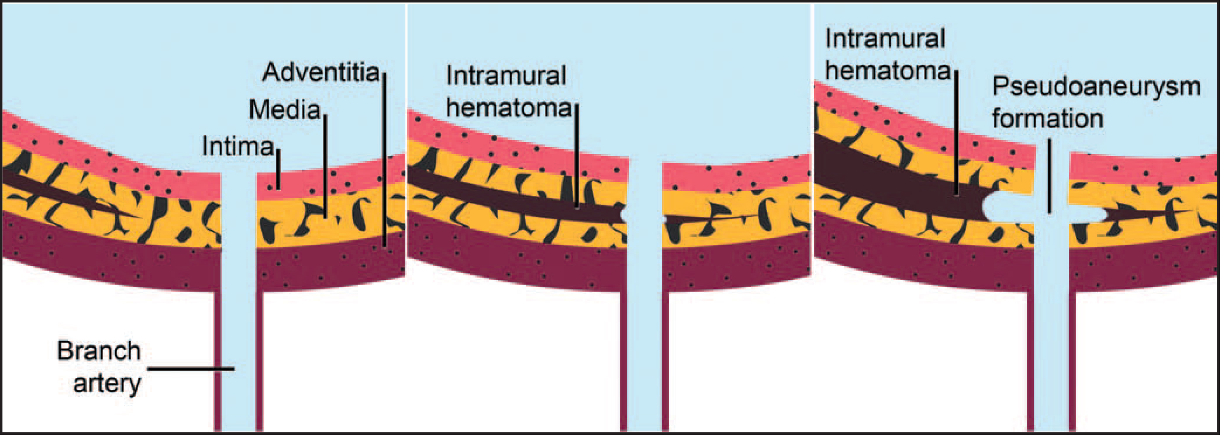 FIGURE 12.
