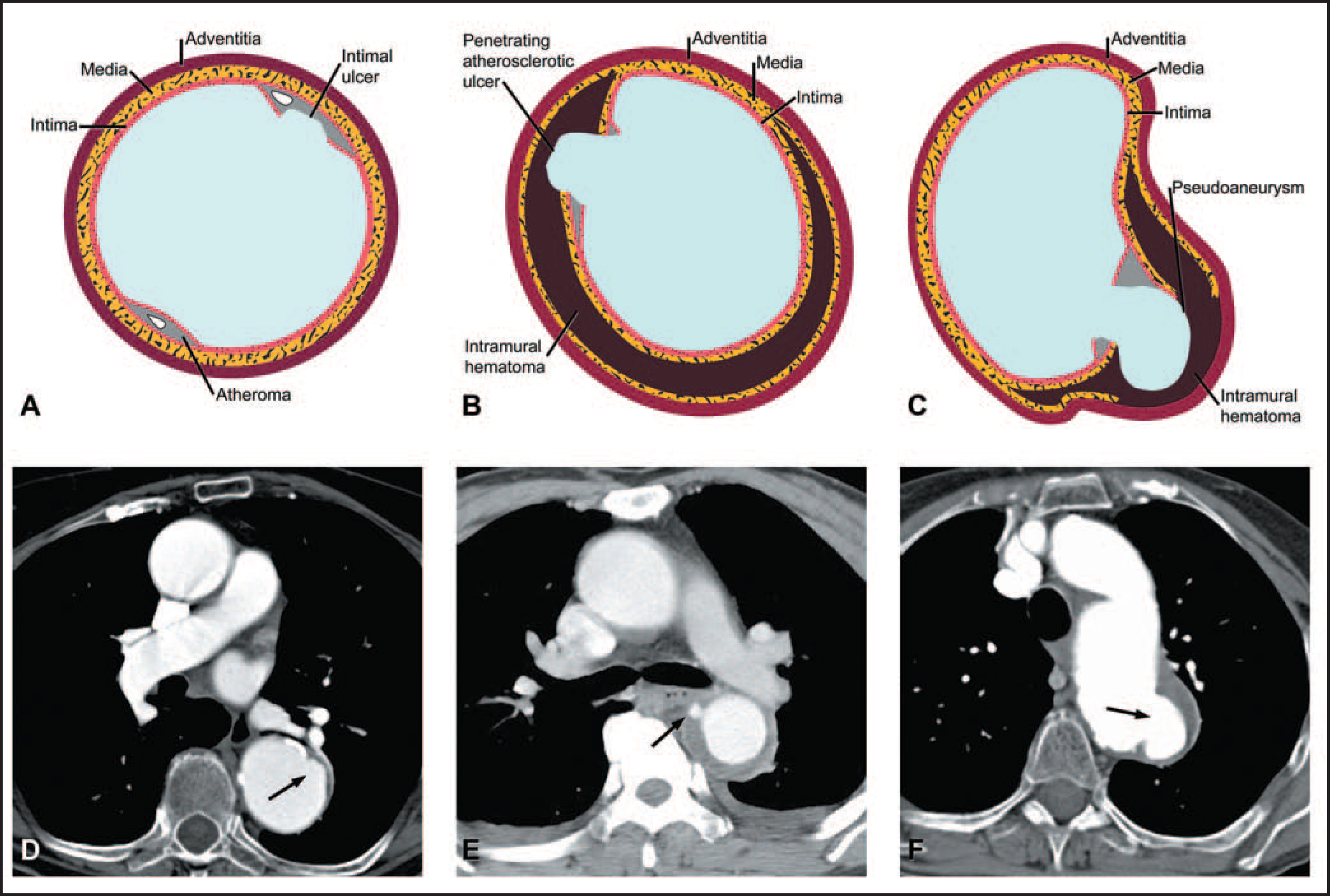 FIGURE 15.