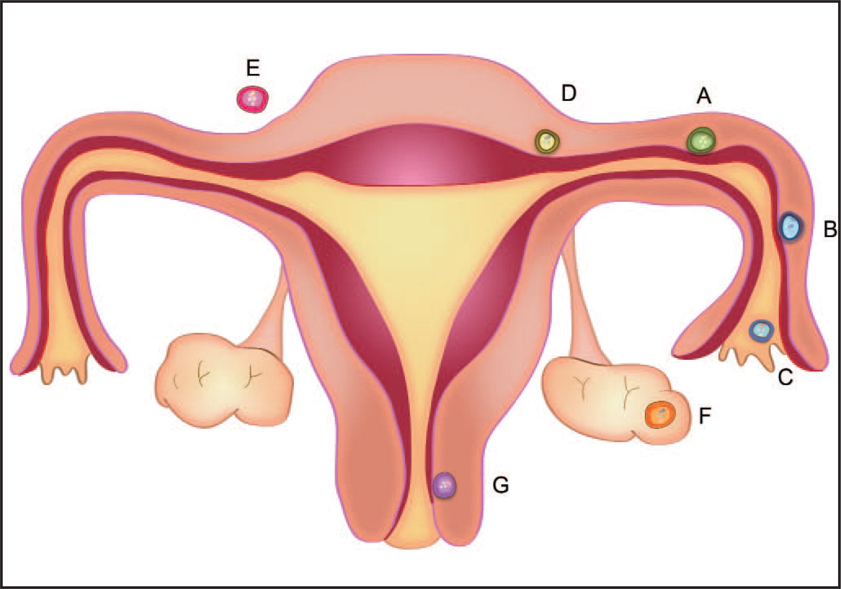 FIGURE 1.