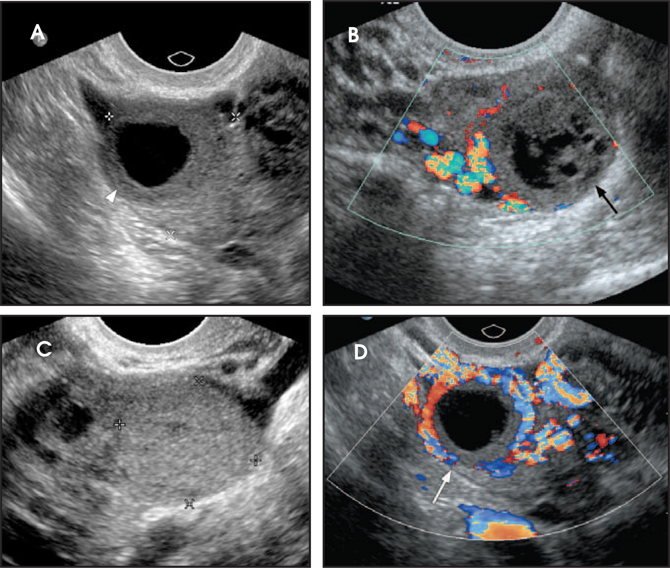 FIGURE 6.