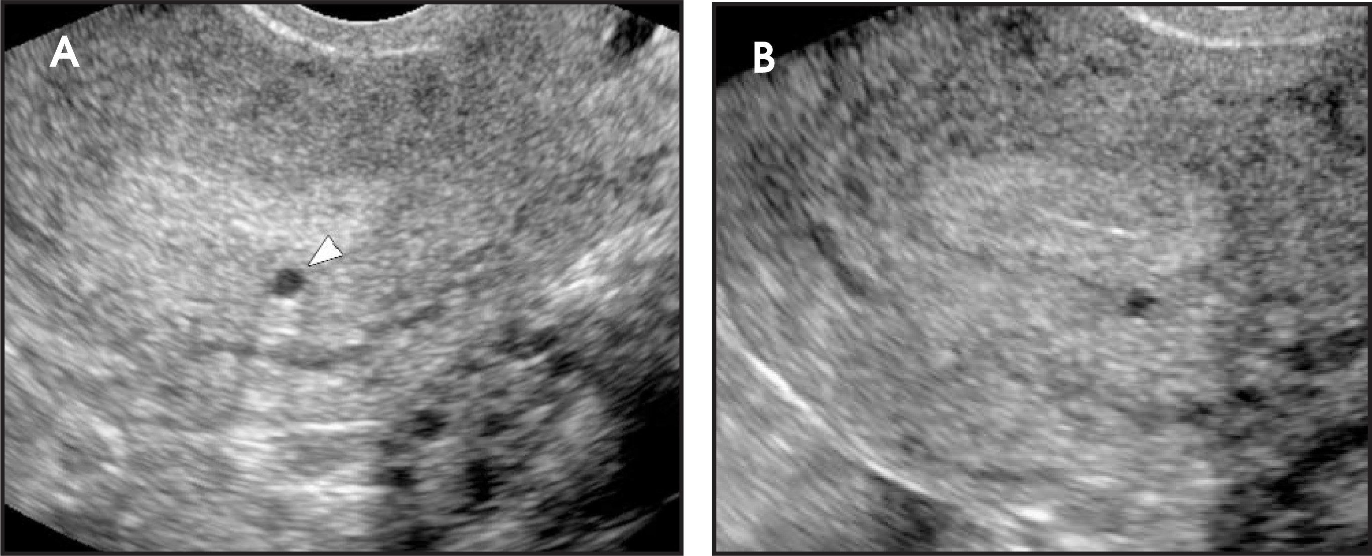 FIGURE 9.