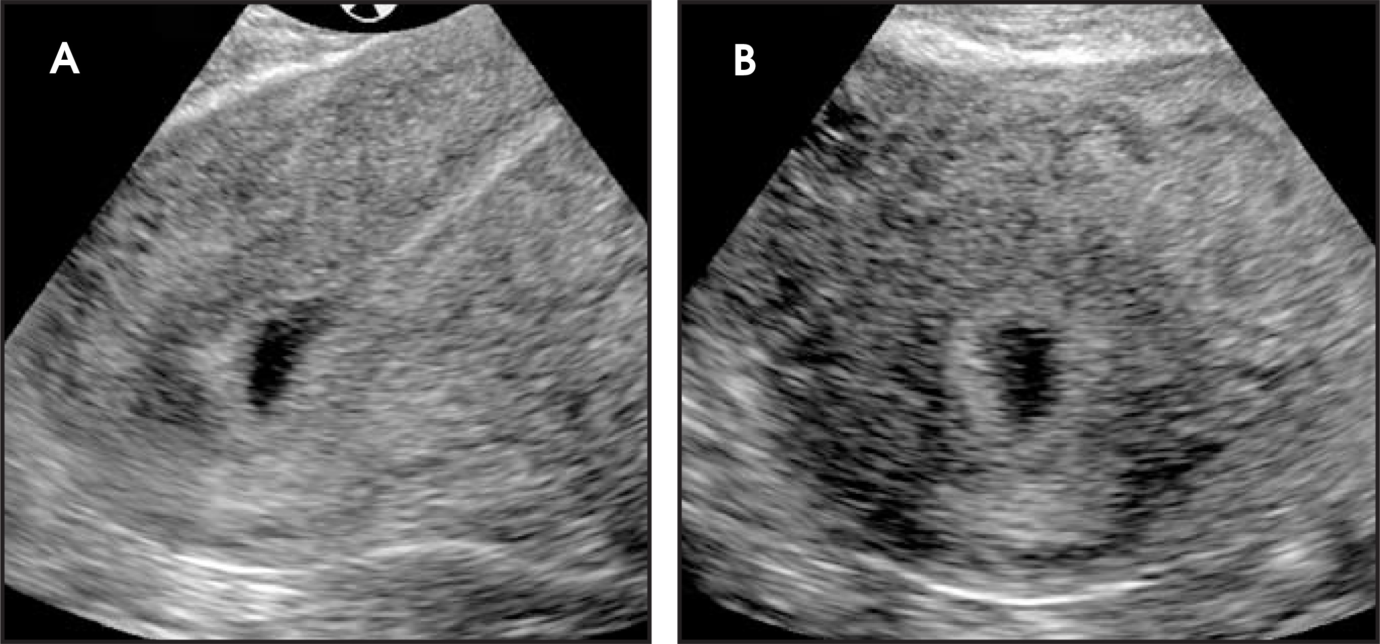 FIGURE 10.