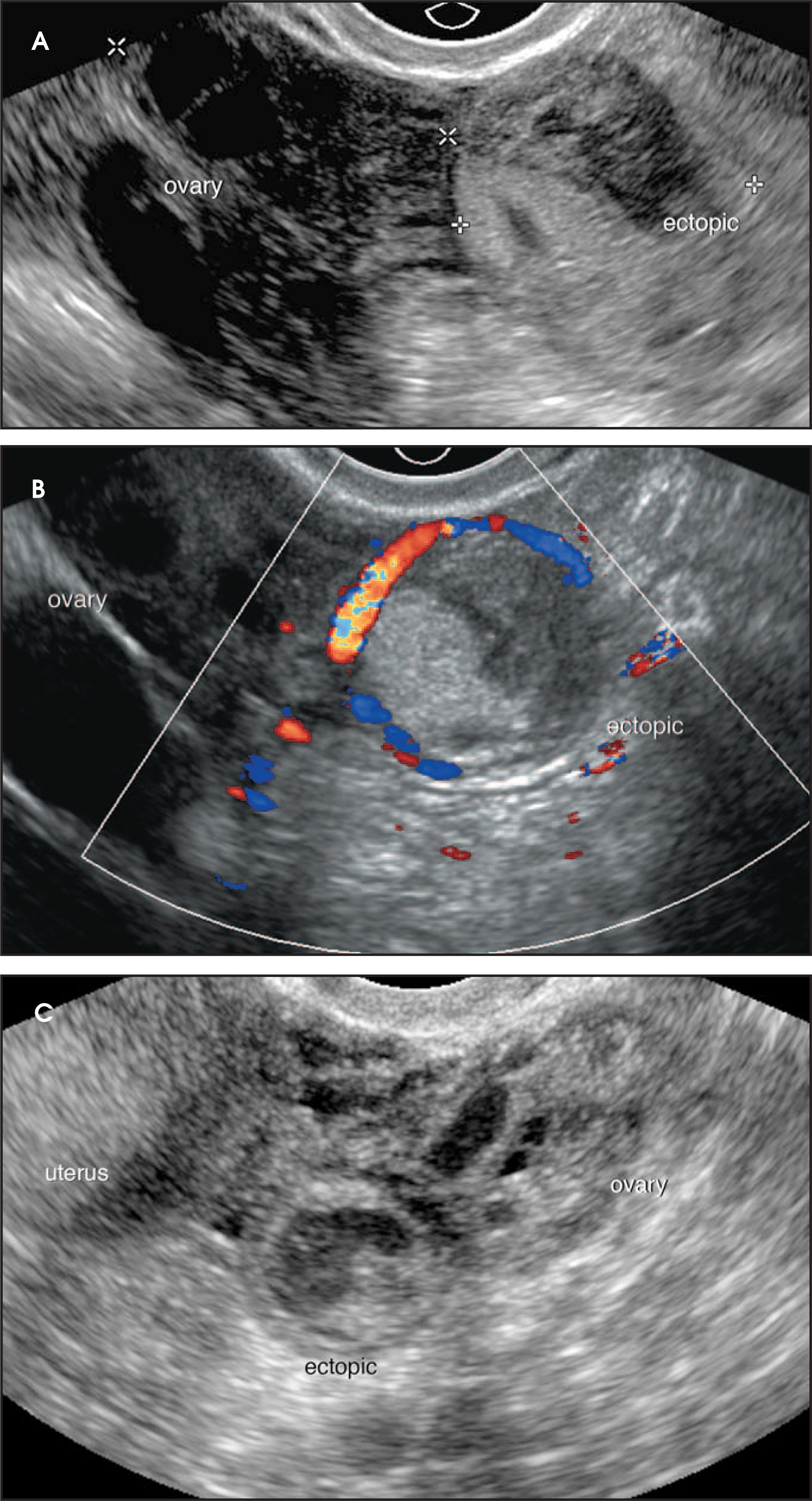 FIGURE 12.