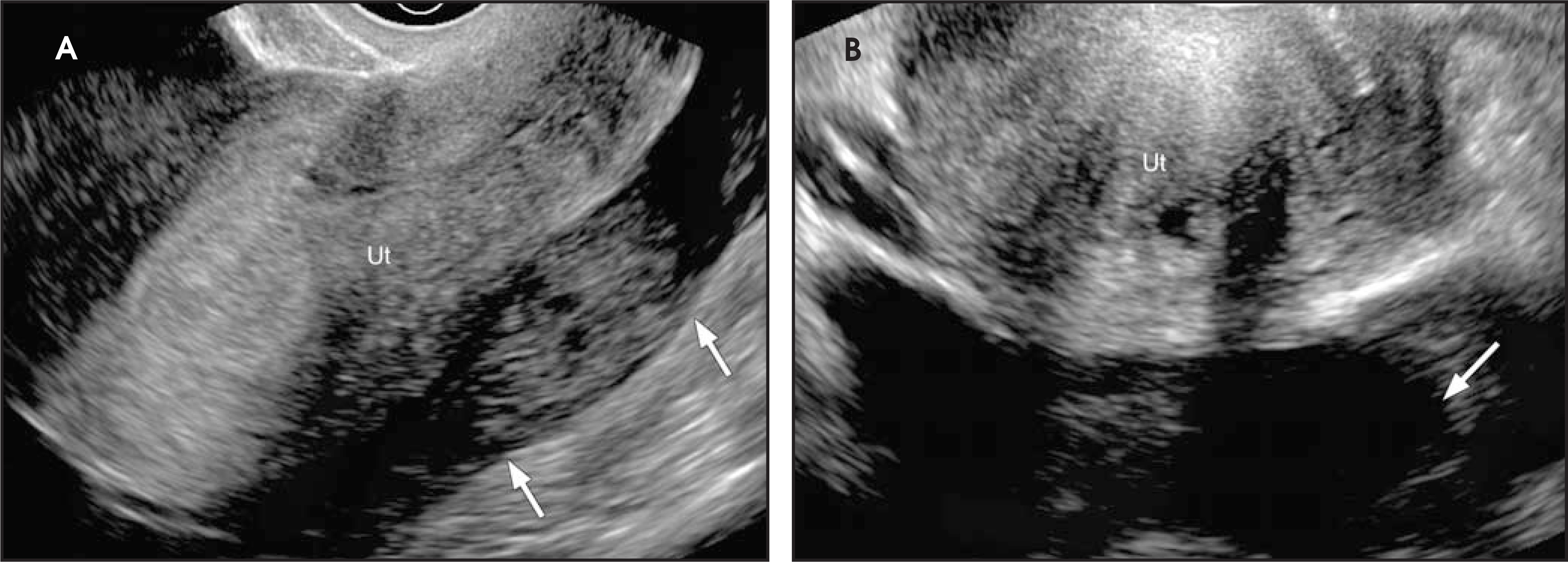 FIGURE 14.