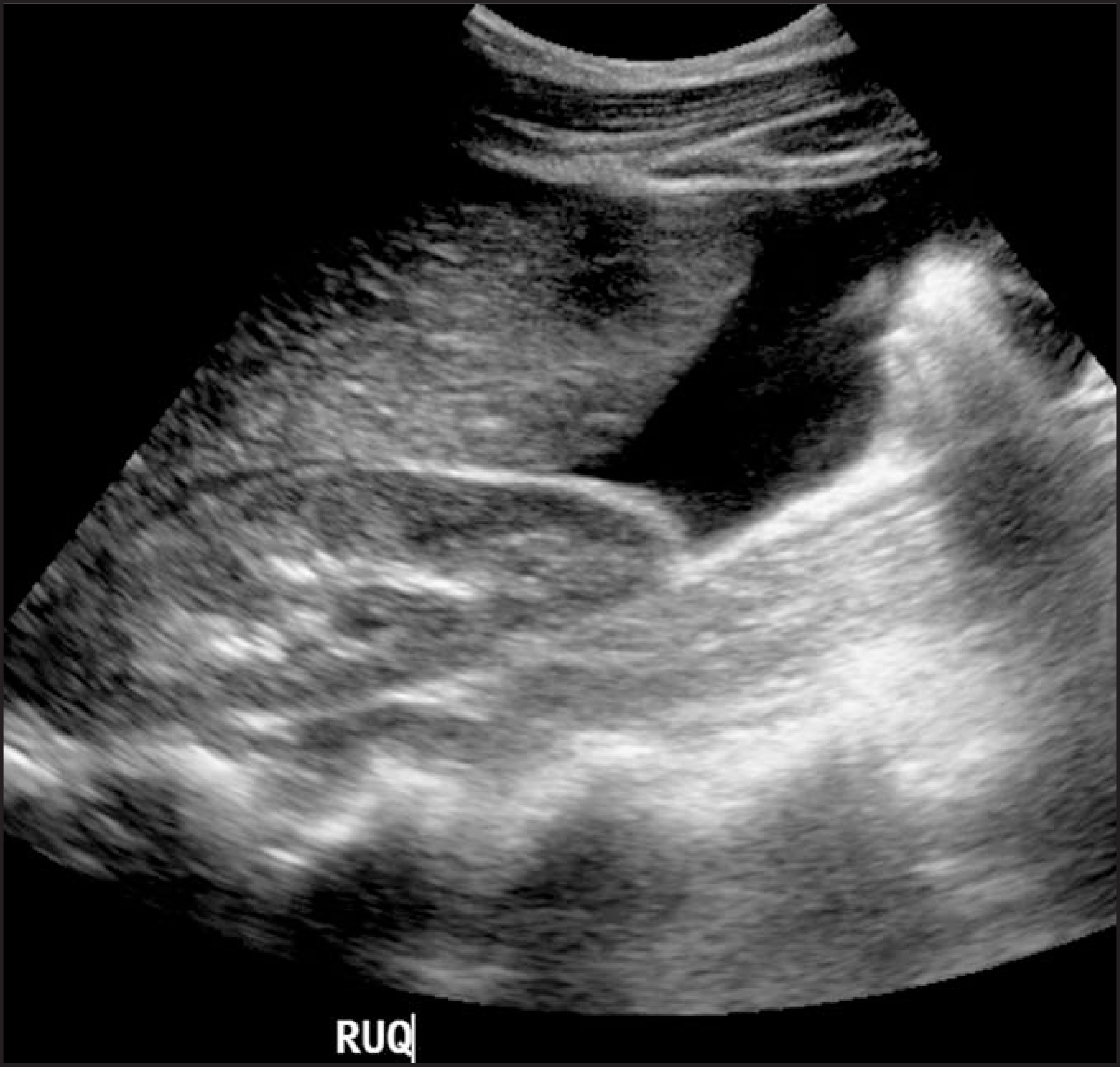 FIGURE 15.