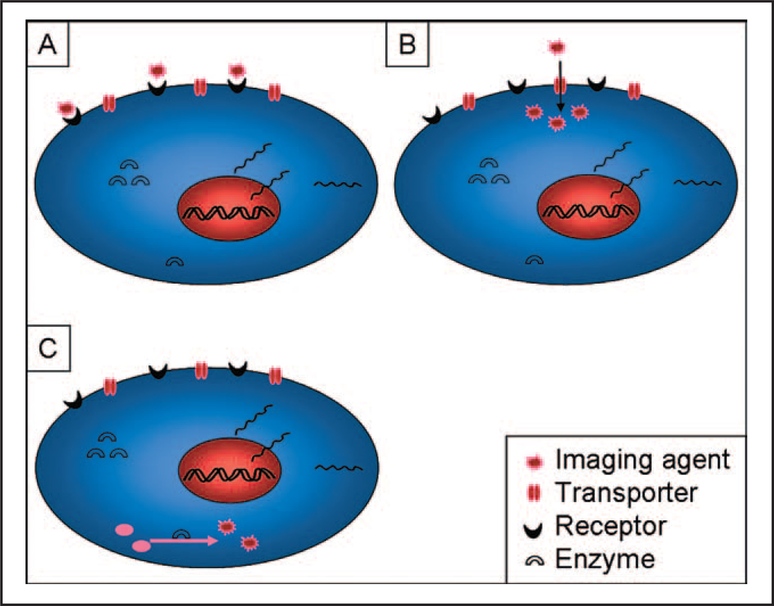 FIGURE 1.