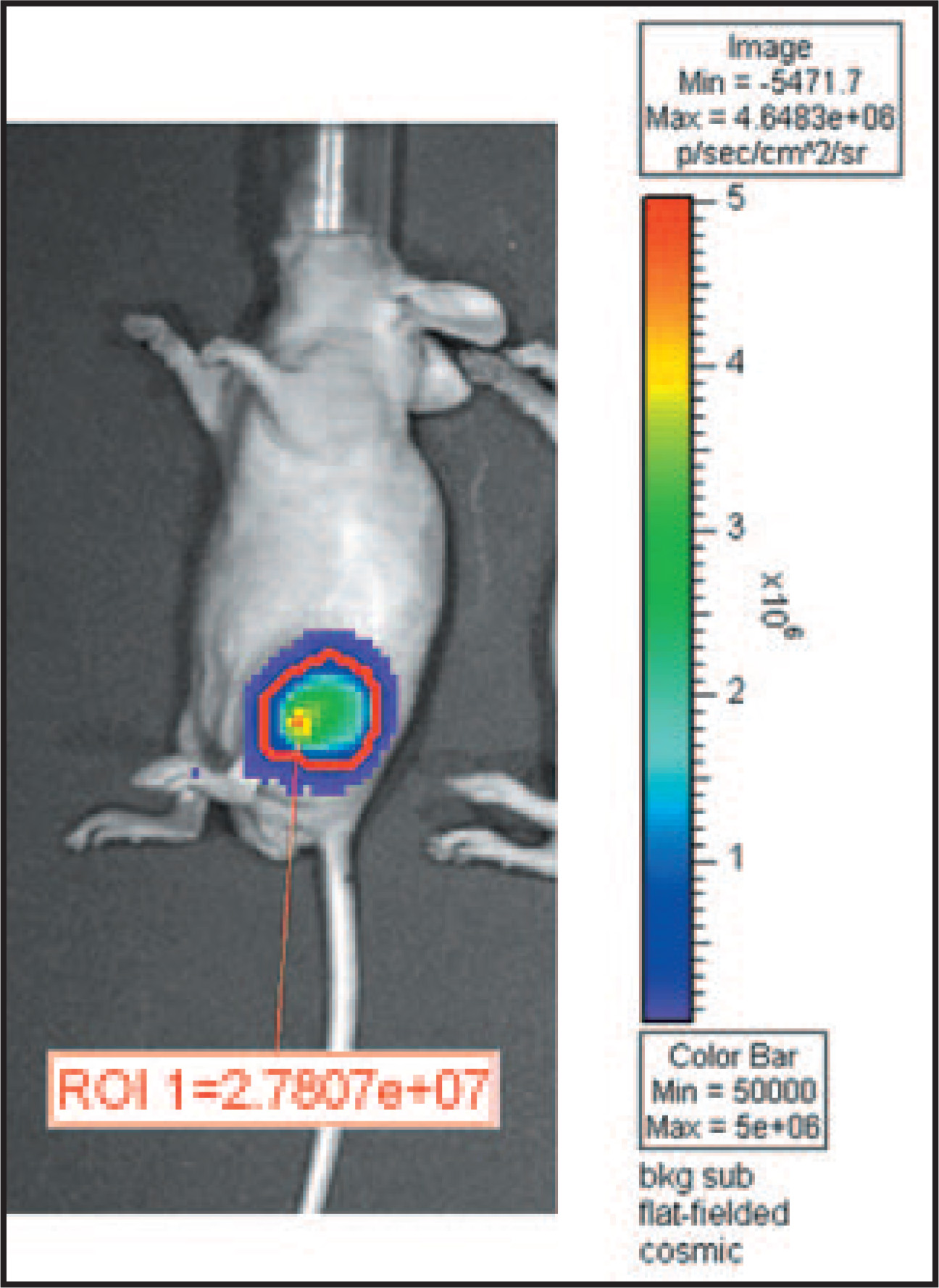 FIGURE 4.