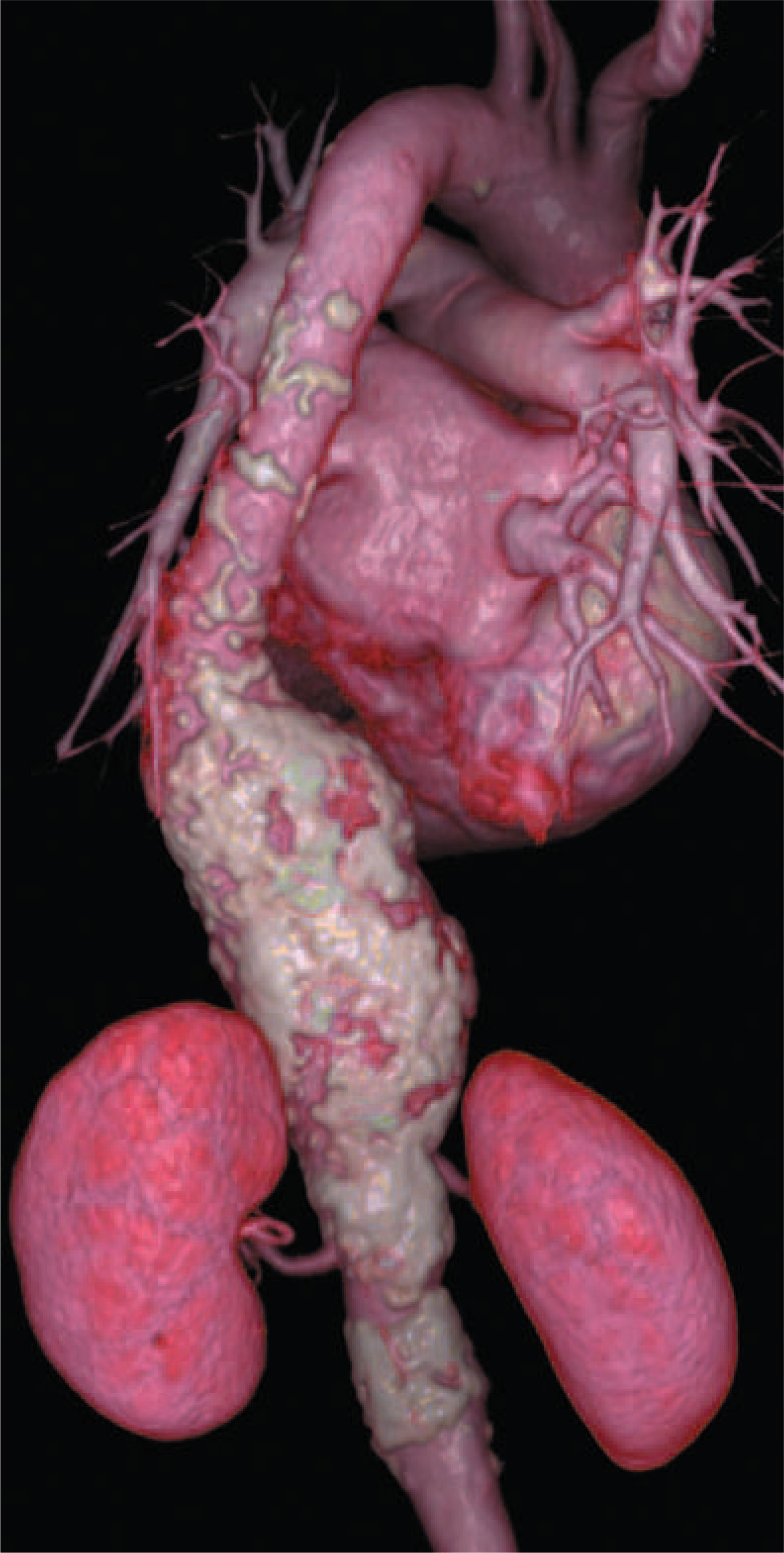 FIGURE 1.