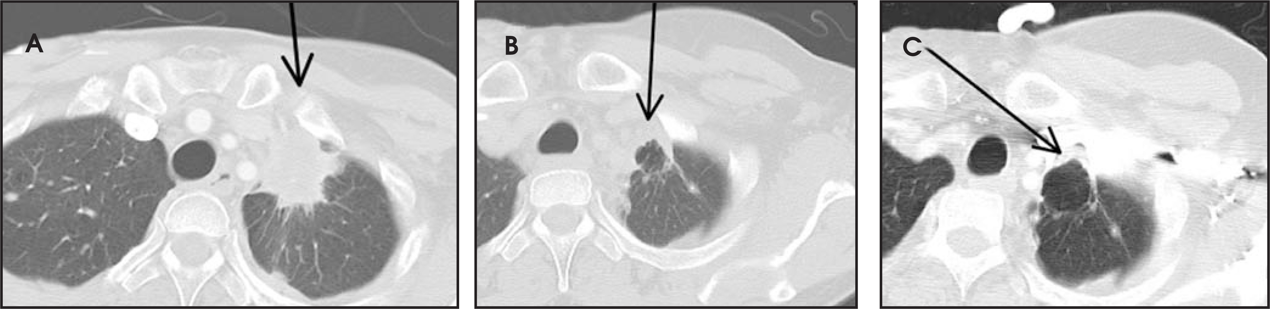 FIGURE 21.