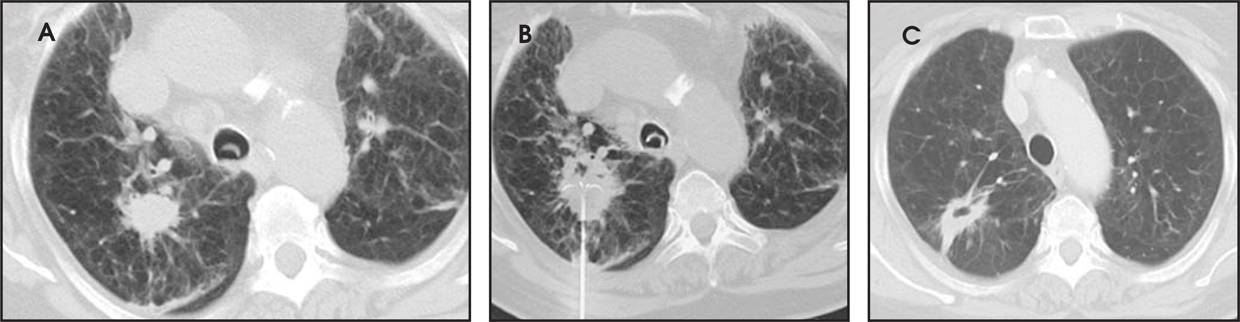 FIGURE 24.