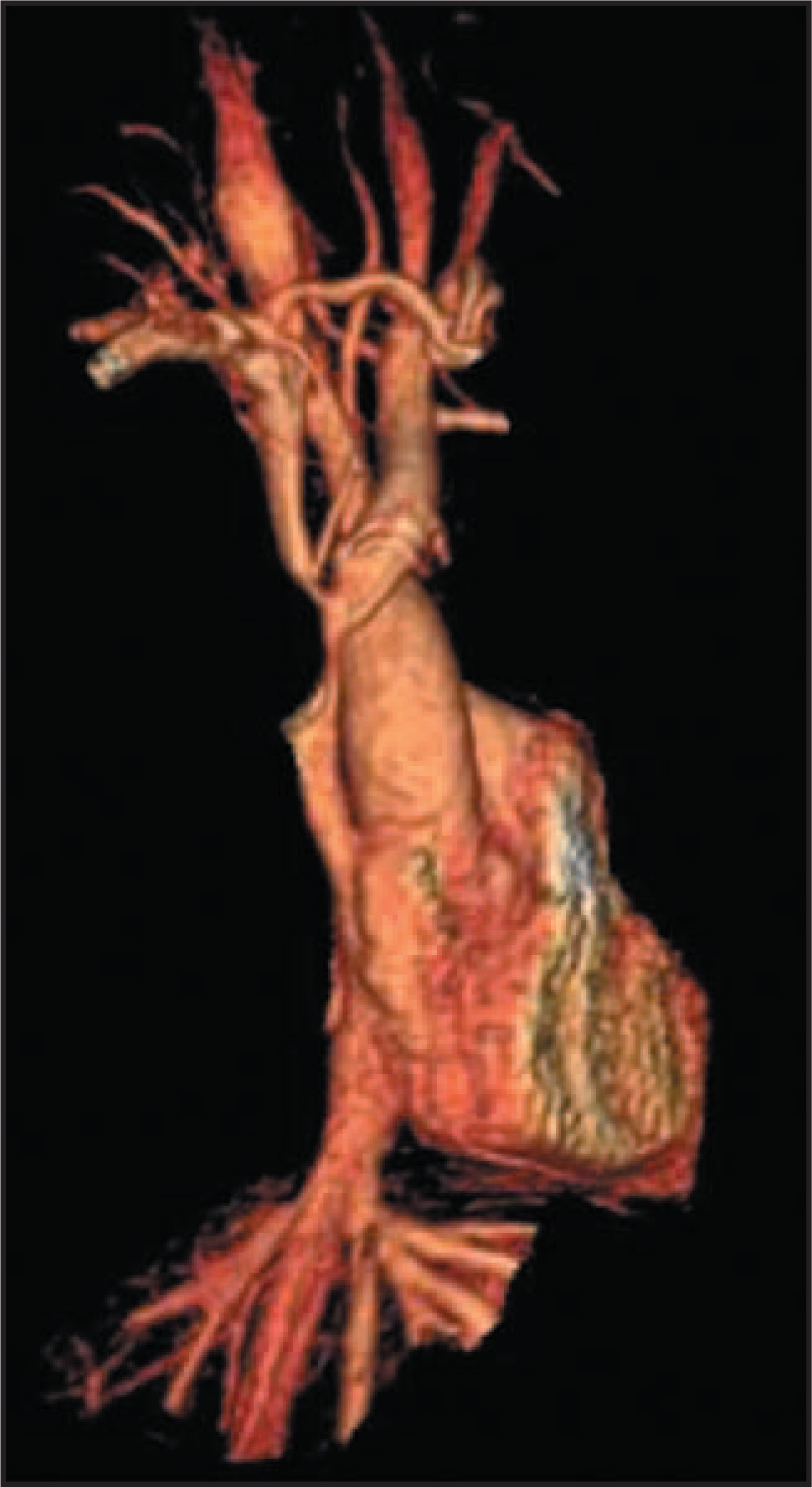 FIGURE 7.