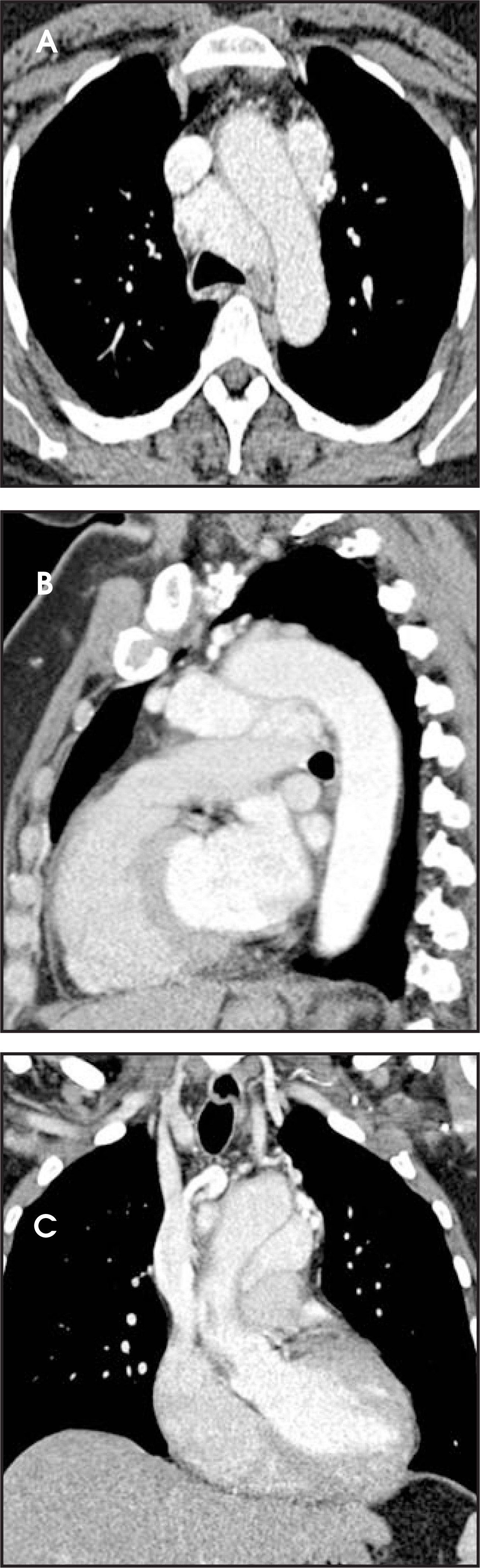 FIGURE 16.