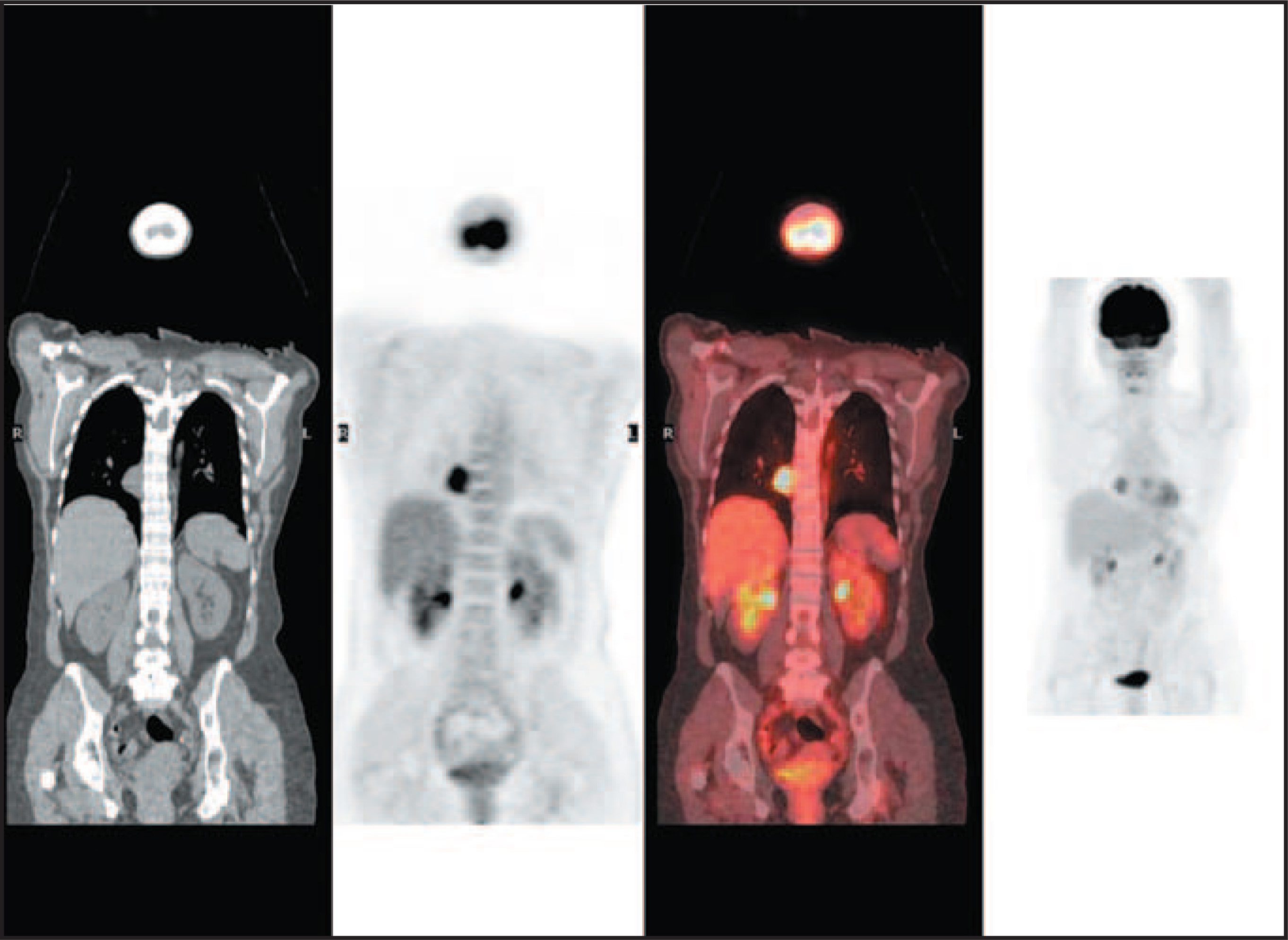 FIGURE 18.