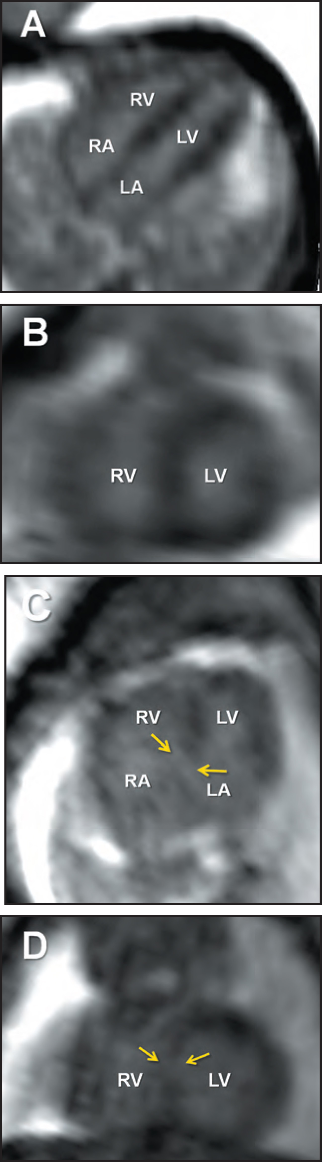 FIGURE 4.