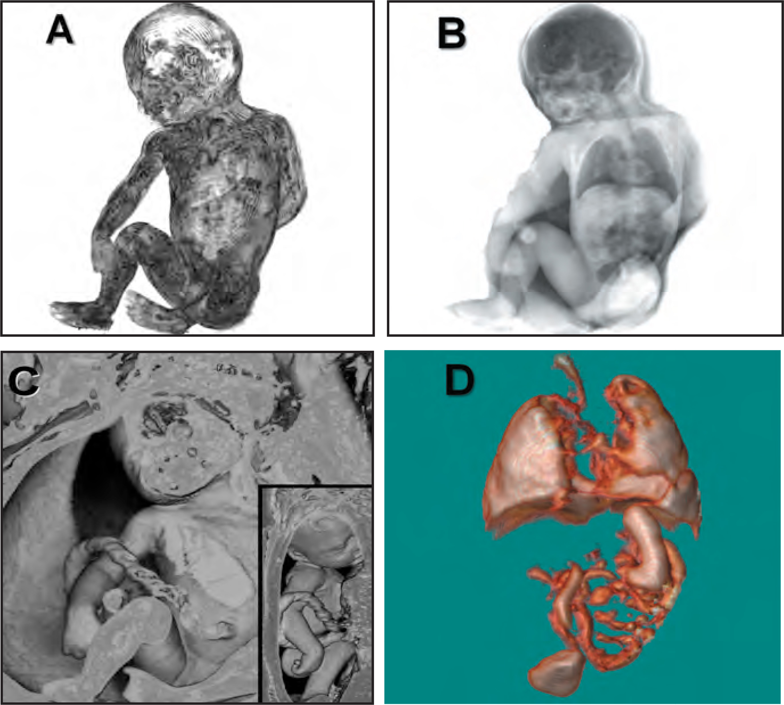 FIGURE 5.