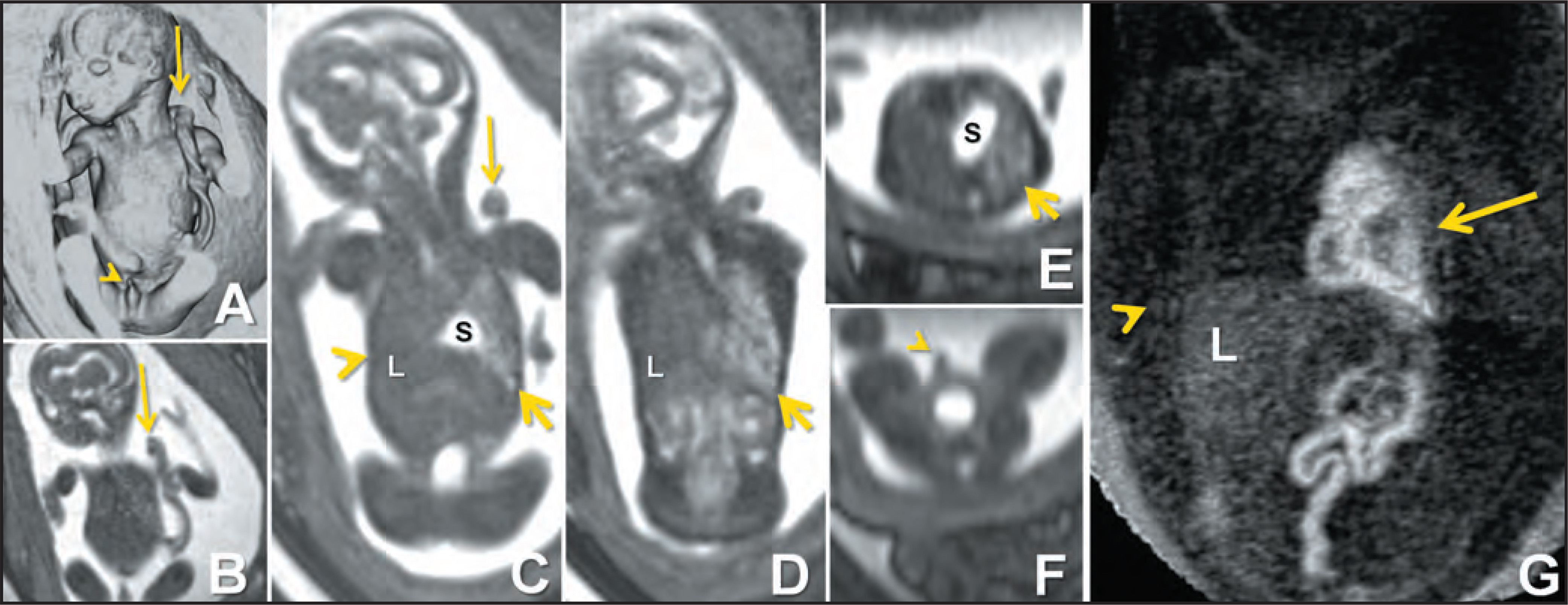 FIGURE 10.