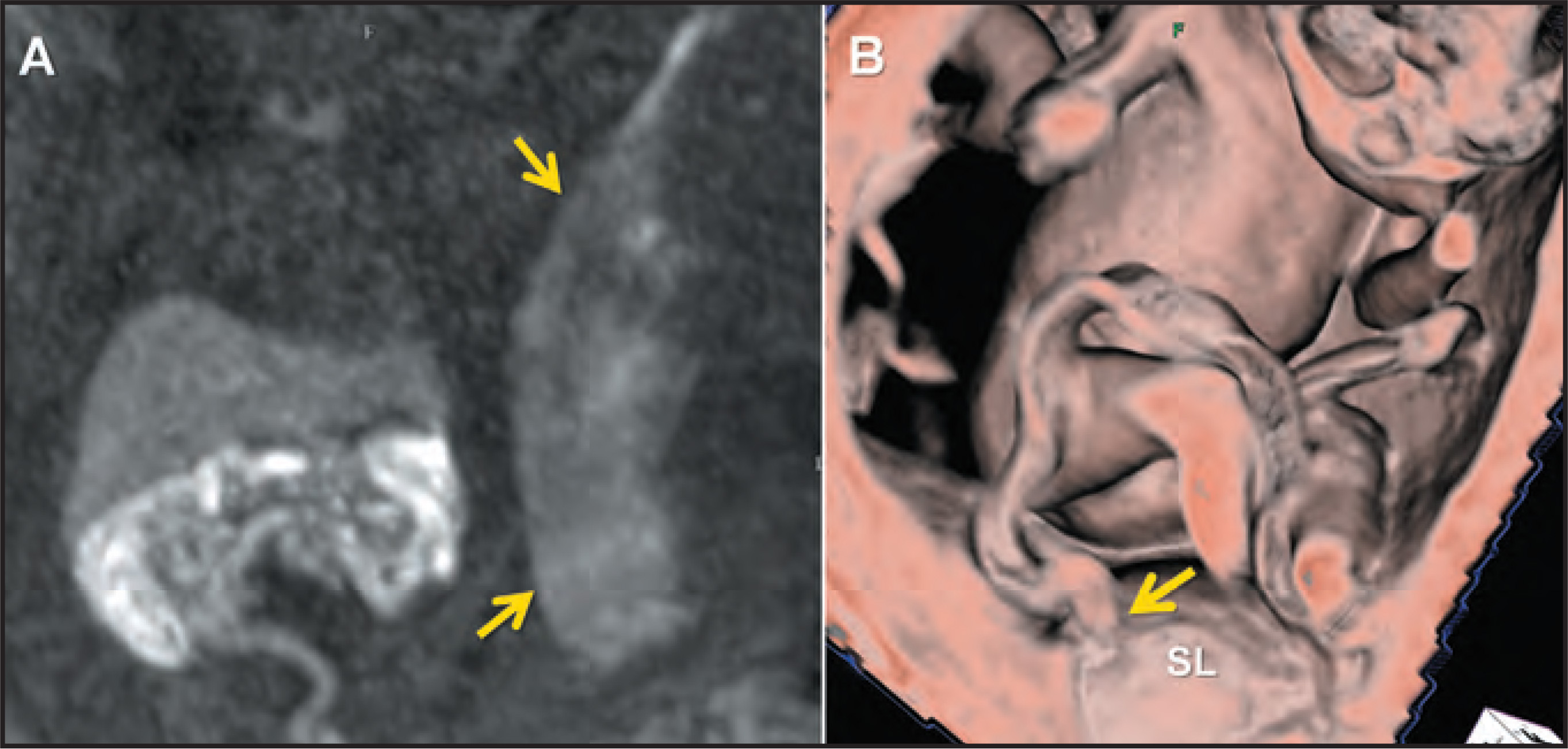 FIGURE 12.