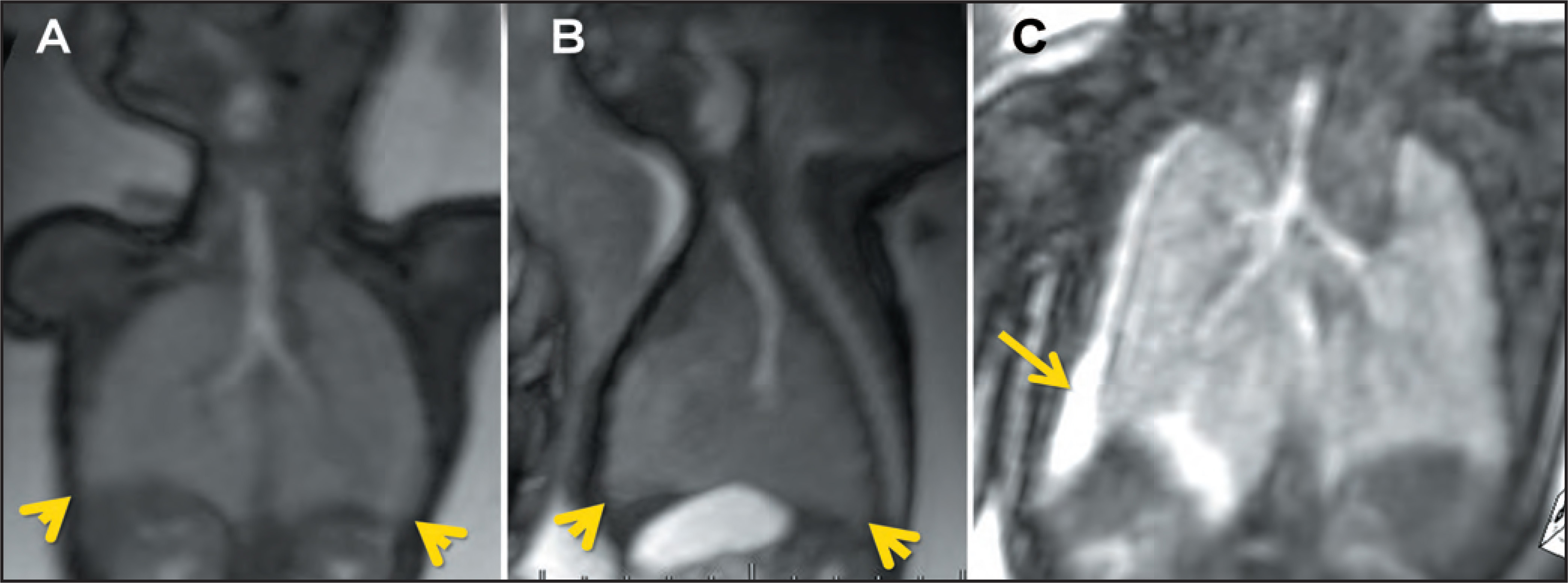 FIGURE 15.