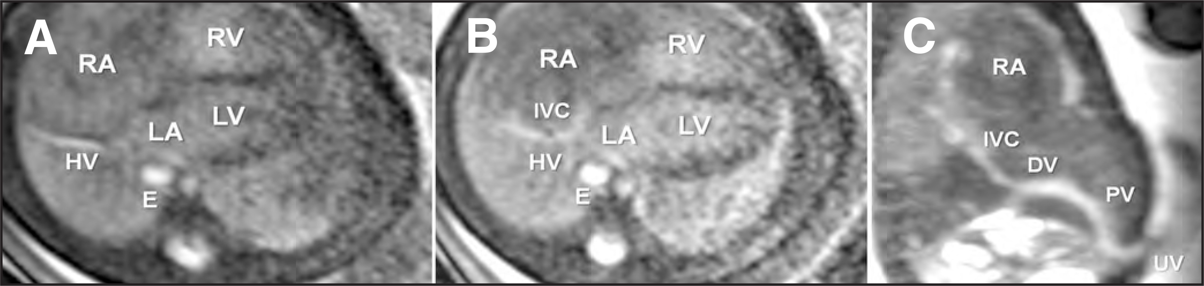 FIGURE 17.