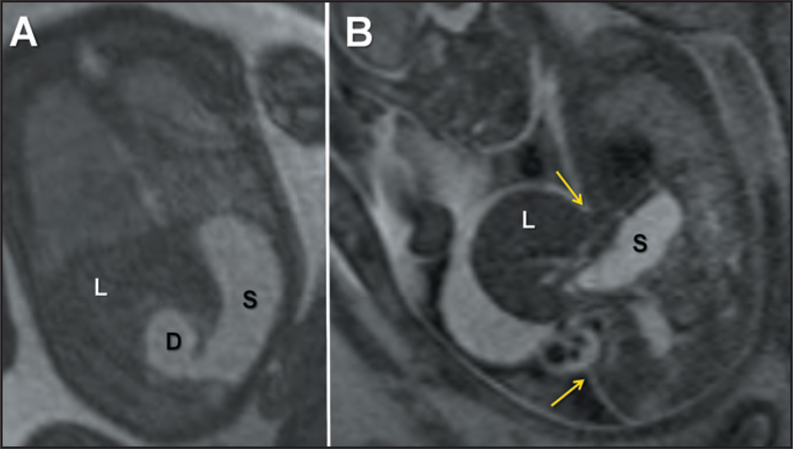FIGURE 18.