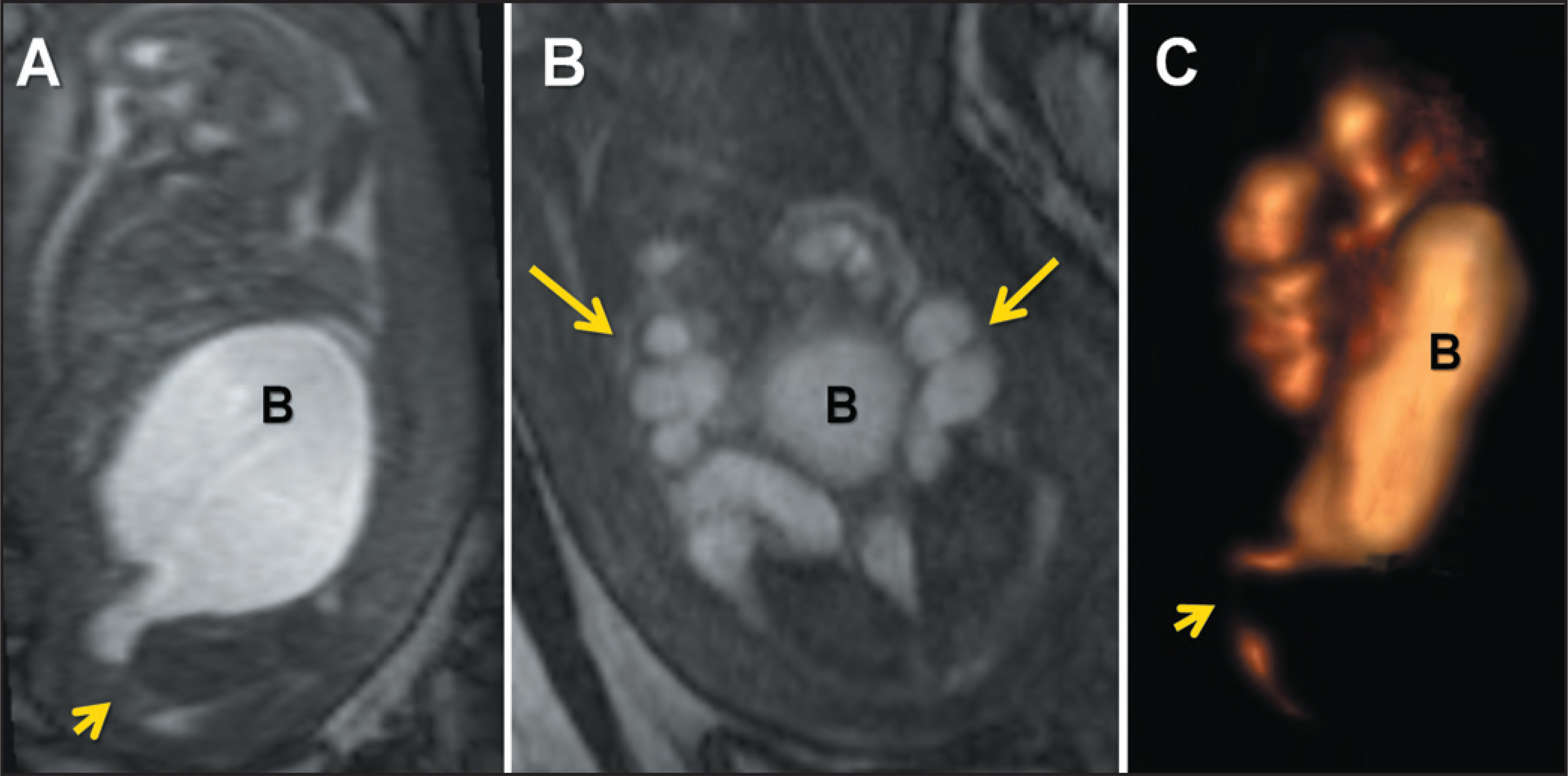 FIGURE 19.