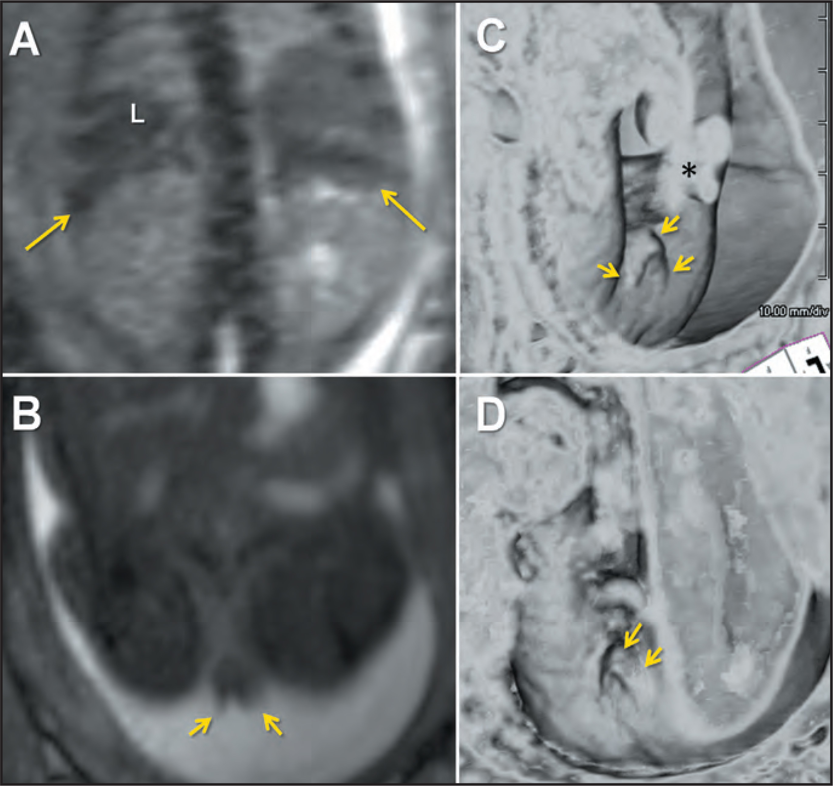 FIGURE 20.