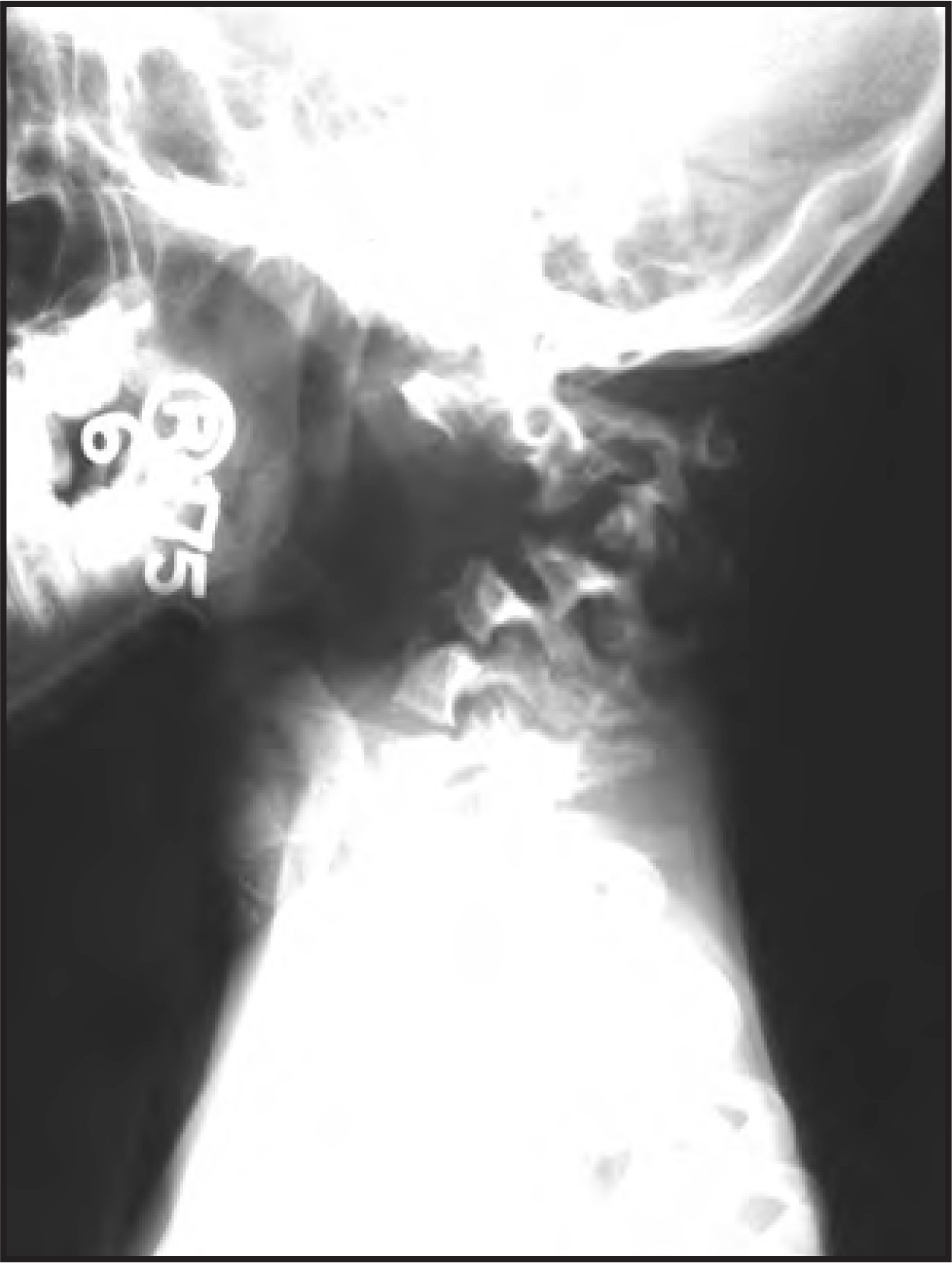 FIGURE 1.