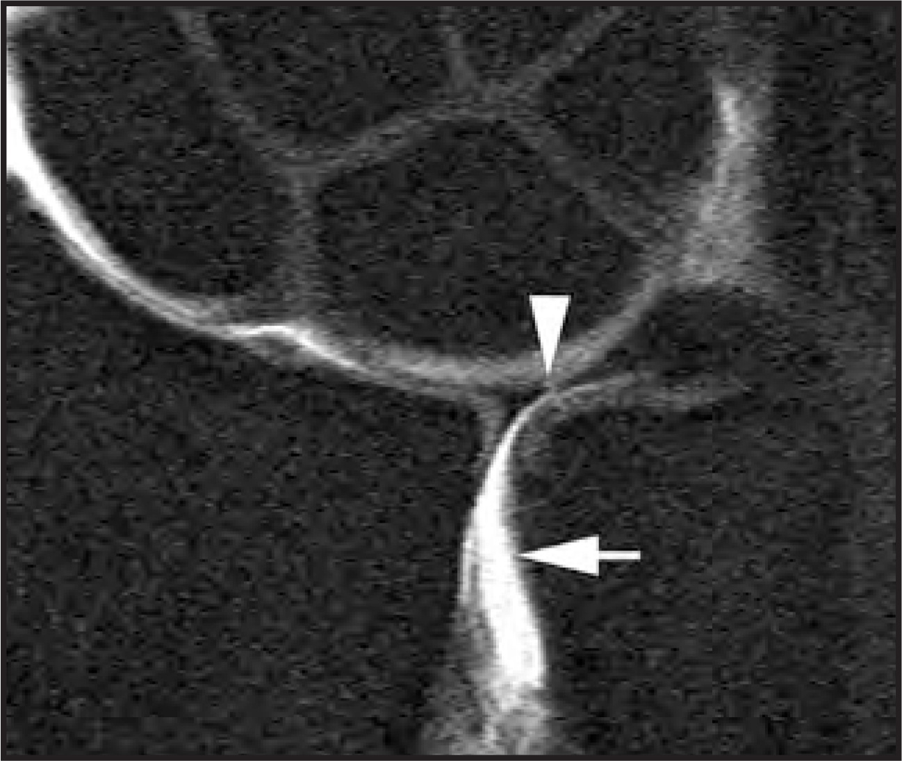 FIGURE 15.