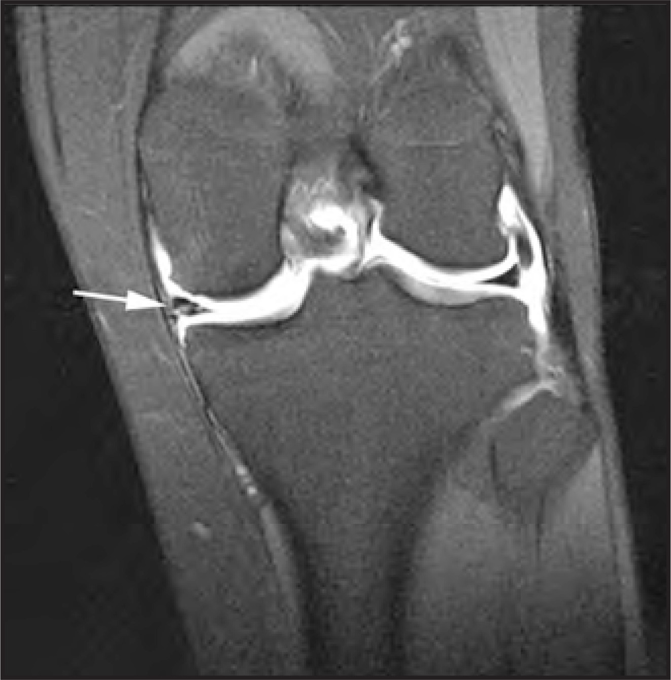FIGURE 19.